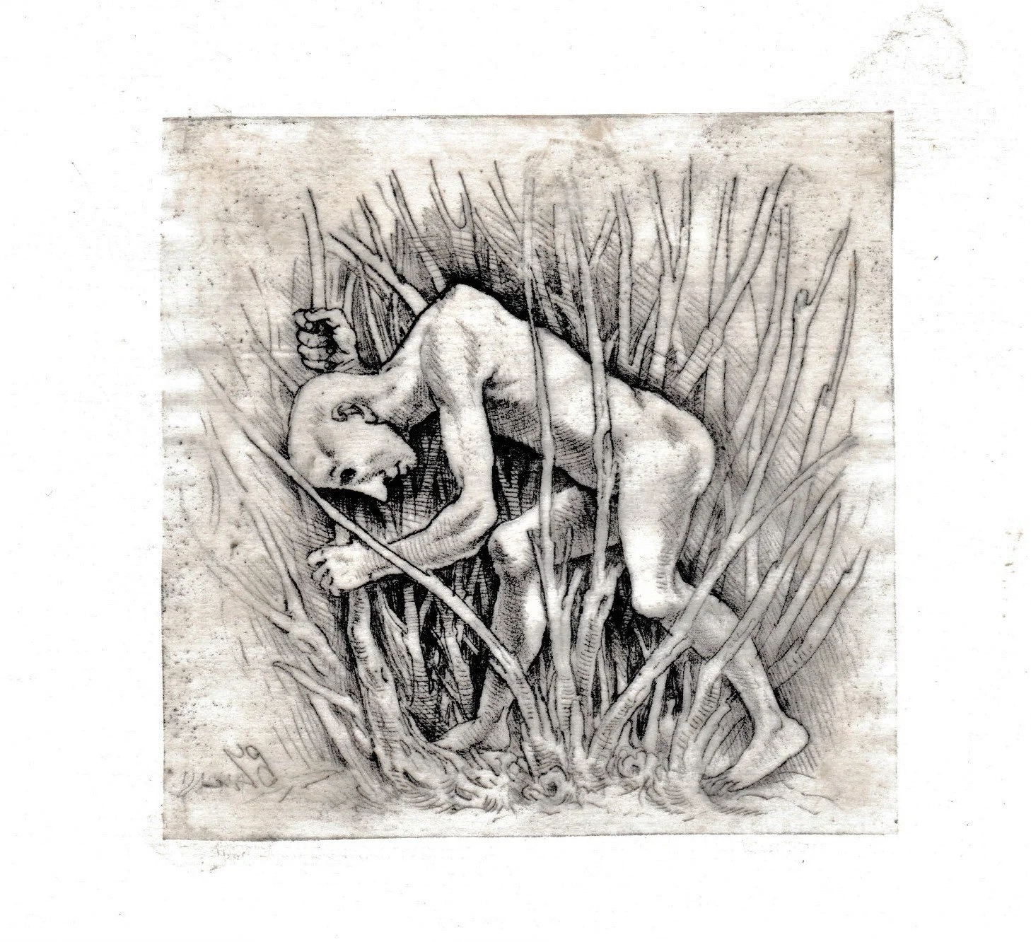 Problemi, 2015. Matita grassa, mm 100x95