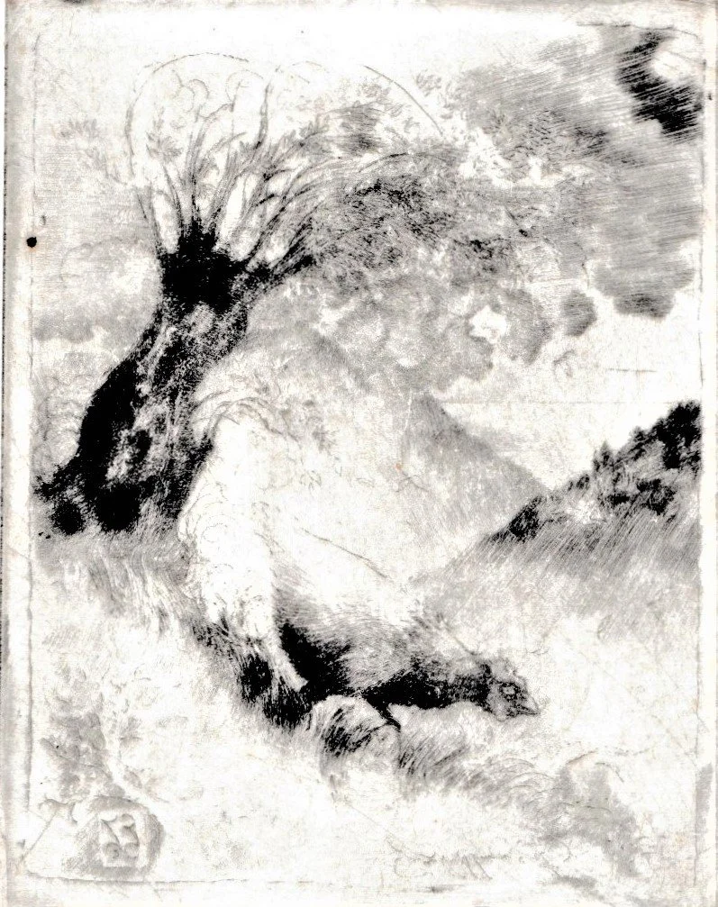 Tempesta, 1992. Puntasecca su rame, mm 70x88