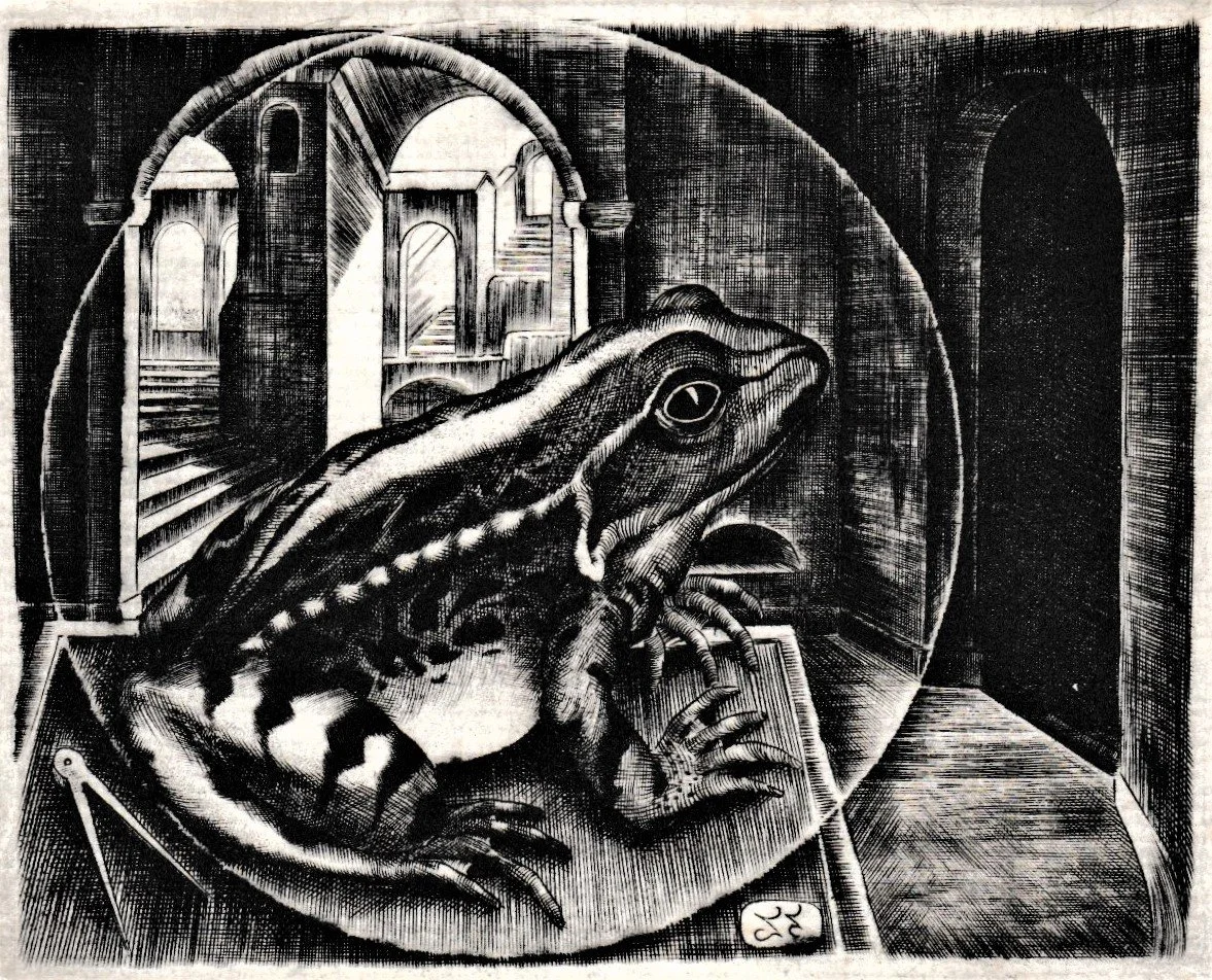 Rana, 1995. Bulino su rame, mm 98x80