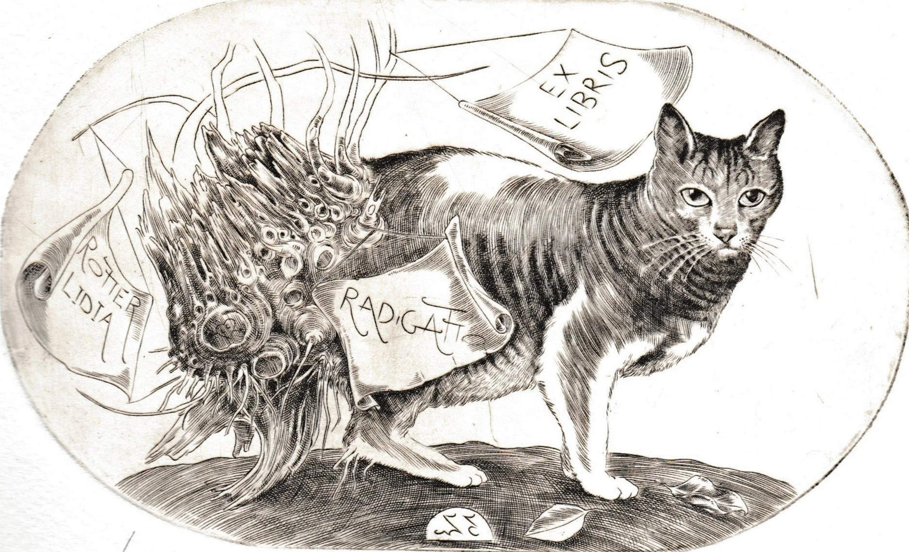 Ex Libris Rotter Lidia, 1994. Bulino su rame, mm 158x96