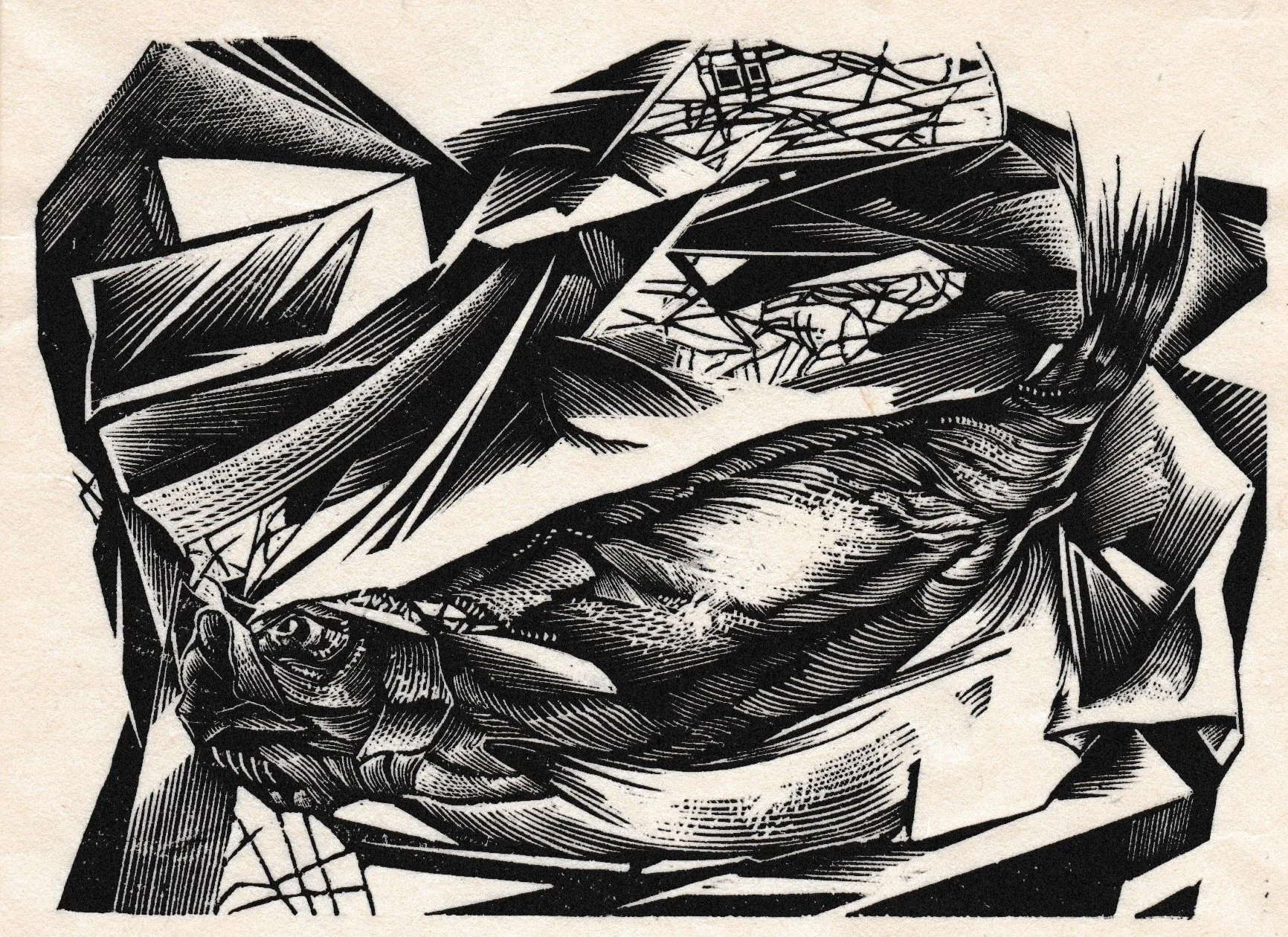 Aringa, 2020. Xilografia su legno di testa, mm 135x100