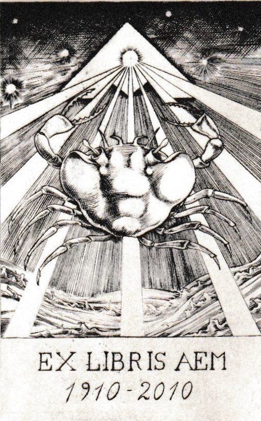 Ex Libris AEM, 2010. Bulino su rame, mm 48x73