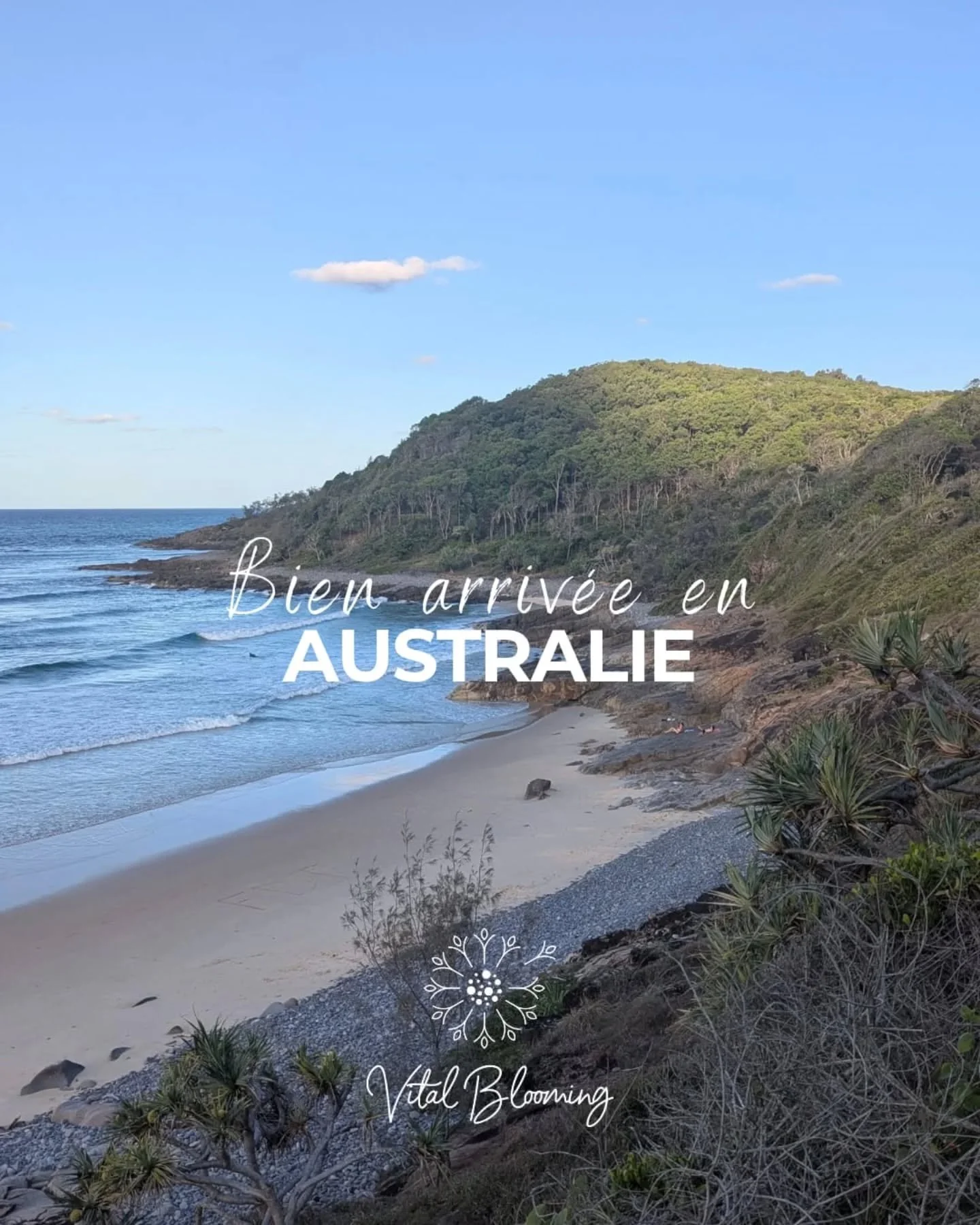 Bien arriv&eacute;e en Australie 🇦🇺

Tout est encore un peu flou, entre la fatigue du voyage, le d&eacute;calage et cette sensation &eacute;trange d&rsquo;&ecirc;tre &agrave; la fois ici et encore l&agrave;-bas.
Je regarde autour de moi et je me di