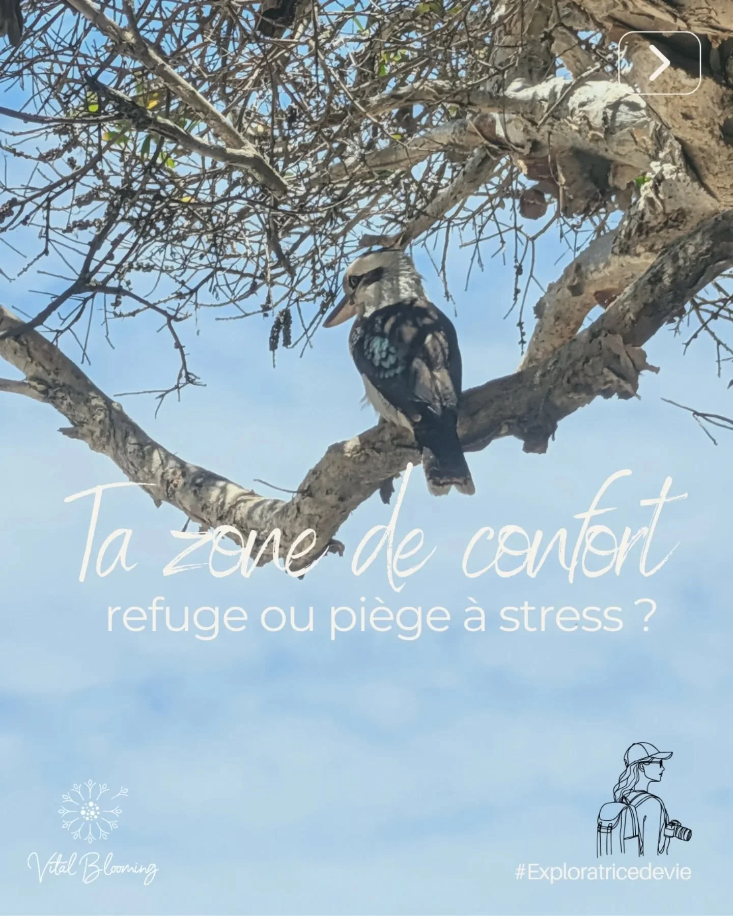 Sortir de sa zone de confort&hellip;
On en parle souvent, mais on oublie &agrave; quel point &ccedil;a peut faire monter le stress &agrave; 100%.
Et pourtant, c&rsquo;est souvent dans ces moments-l&agrave; que l&rsquo;on se d&eacute;couvre autrement.