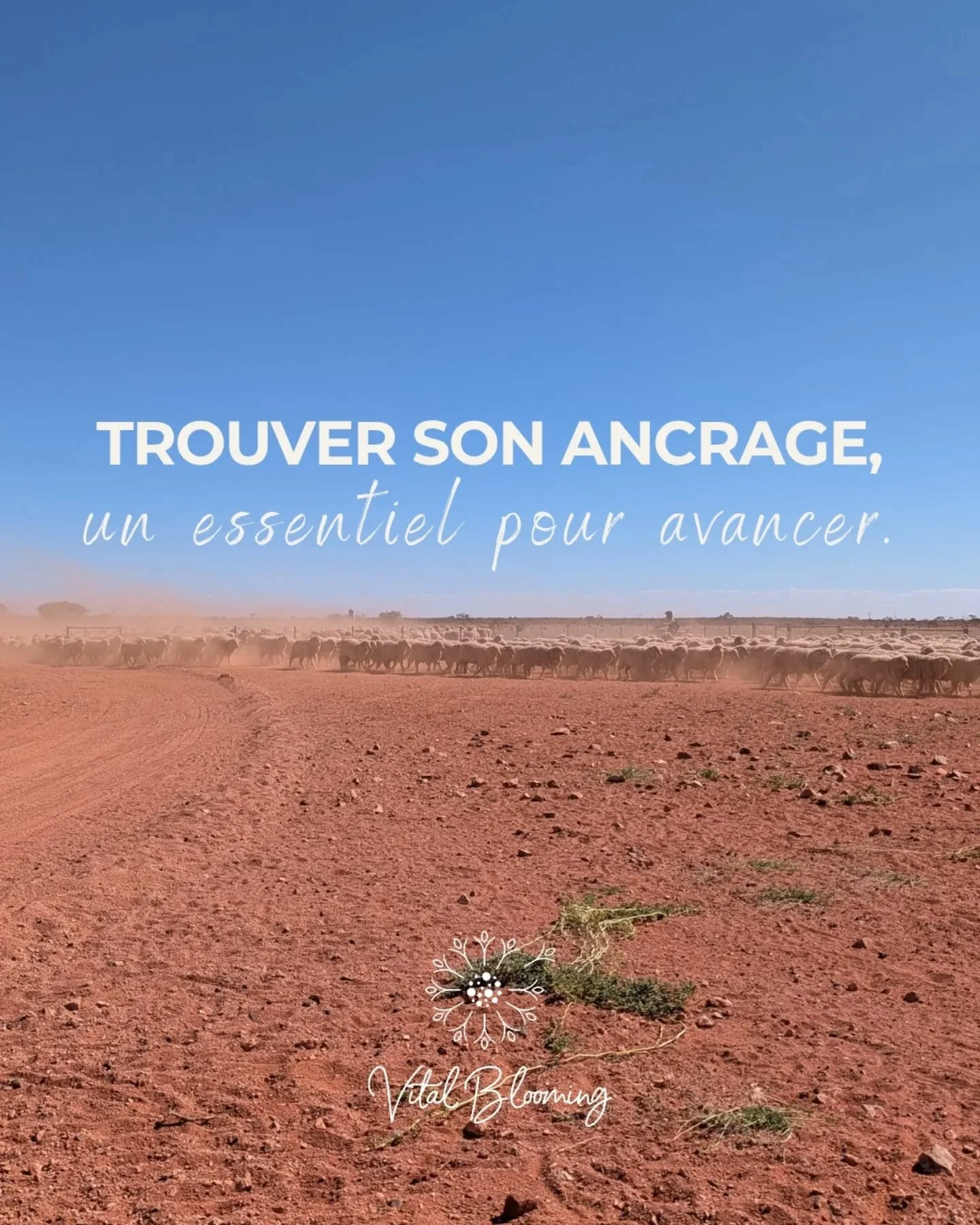 🪾Trouver son ancrage est essentiel.

Le corps sait trouver son point d&rsquo;appui,
m&ecirc;me dans l&rsquo;inconnu.

&Agrave; l'image de ces terres arides et de ce troupeau,
la puissance vient du sol.
Sentir la terre, le sol sous ses pieds
La force