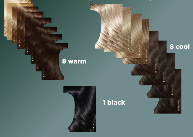 Chart showing different hair color shades grouped as warm, cool, black, and others with numbered categories for each group.
