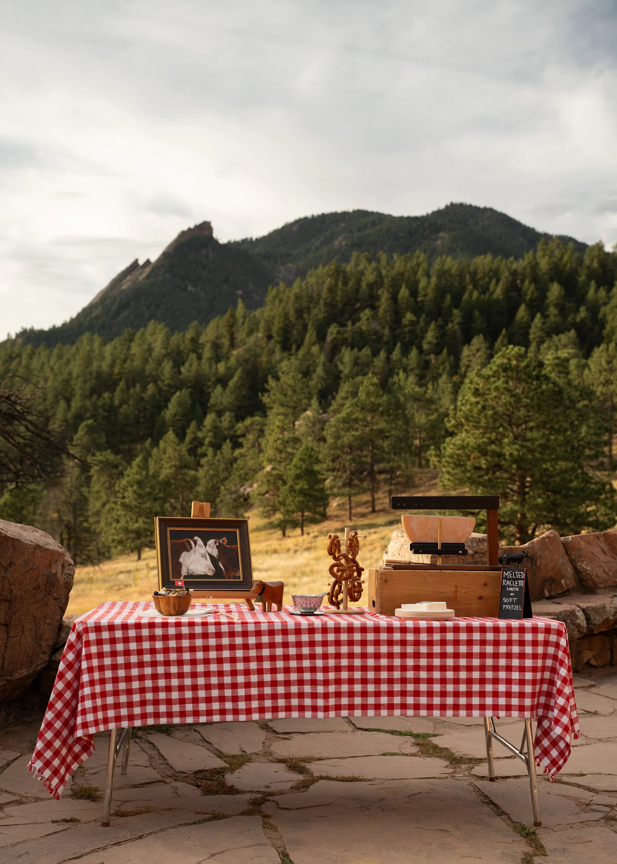 Mountain Brand Shoot for Petite Chalet