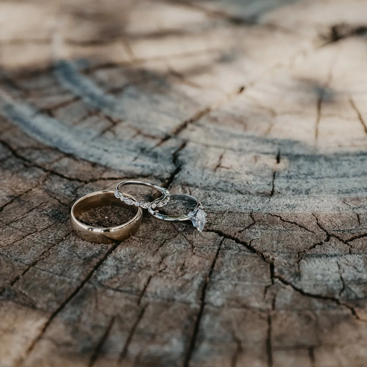 Three rings resting on a wooden surface, including a gold wedding band, an engagement ring with a large central diamond, and a silver ring with small diamonds.