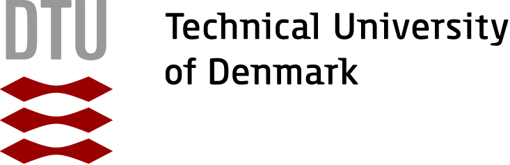 technical-university-of-denmark-dtu-19-logo.png