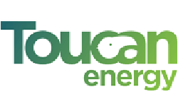 Toucan Energy logo with green and dark green text
