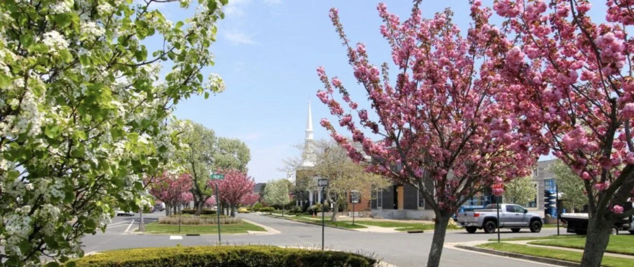 Margate Cherry Blossom Festival