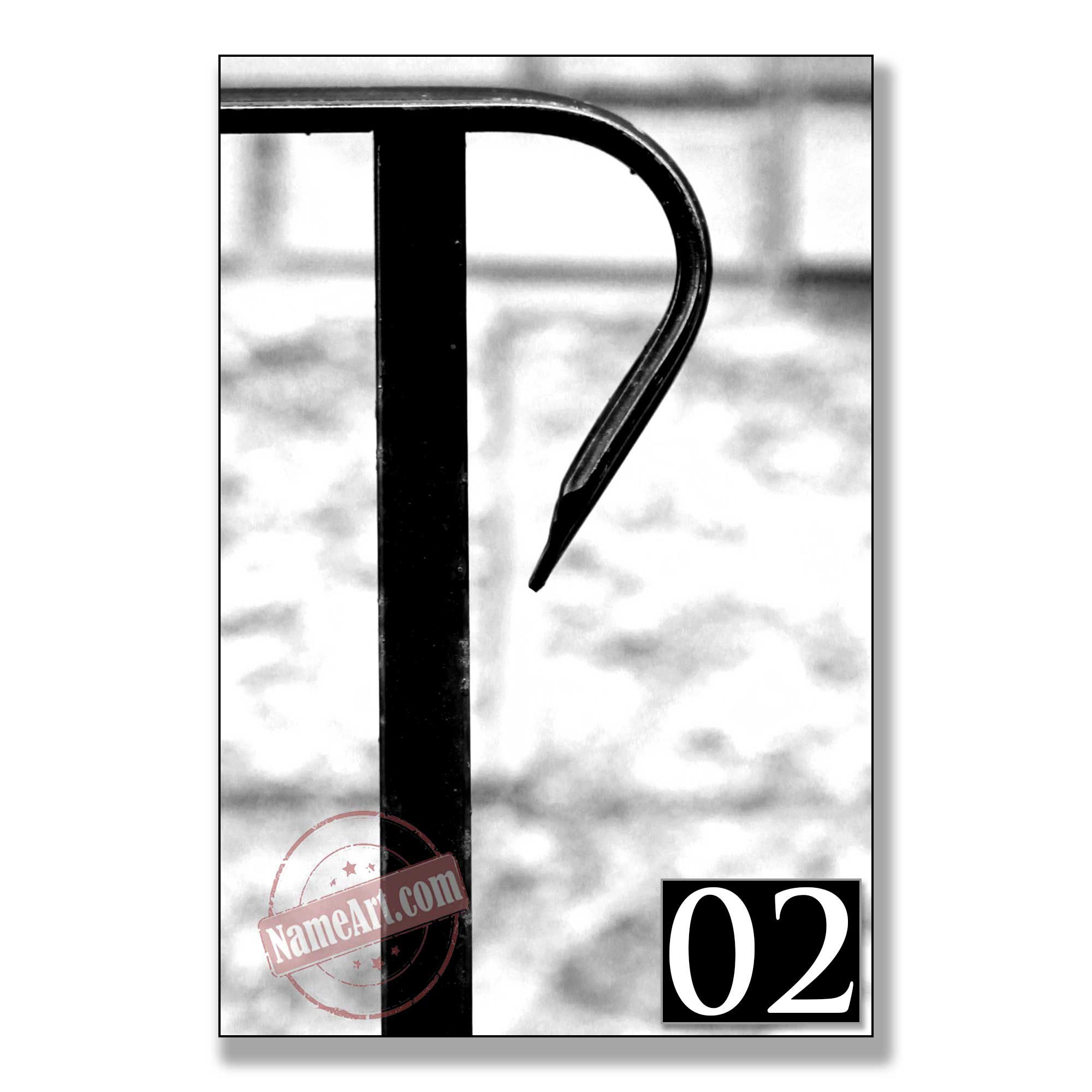 P - Letter Art Photos custom gifts personalized gifts letter art photos letter art pictures wall art decor custom art