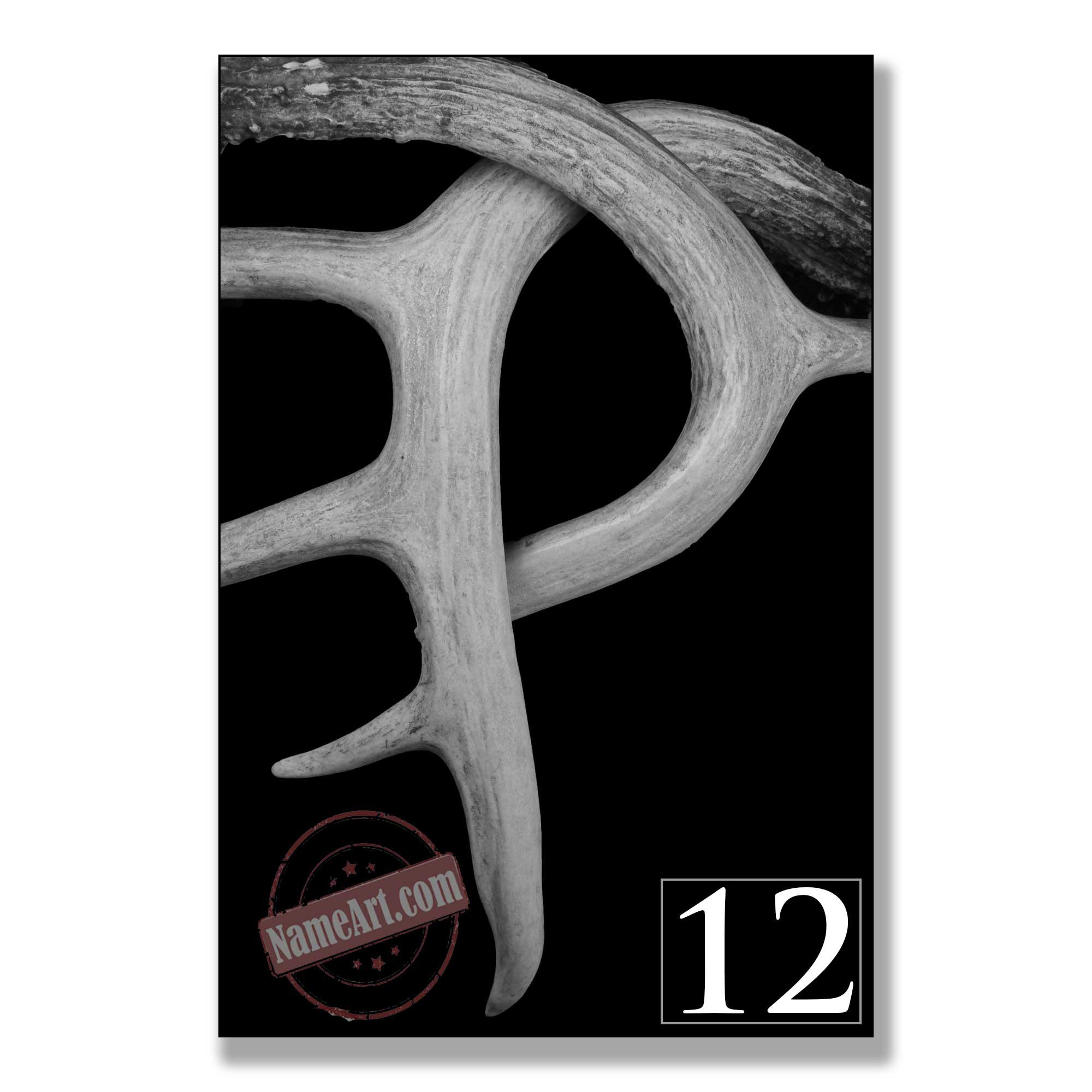 P - Letter Art Photos custom gifts personalized gifts letter art photos letter art pictures wall art decor custom