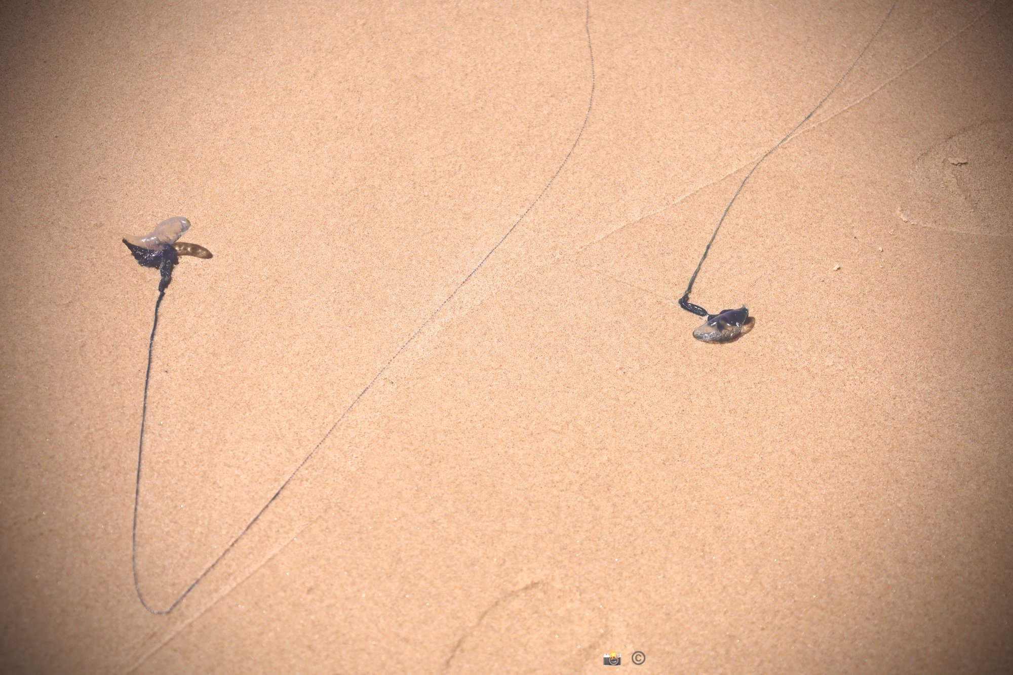 Always Together - Irrelevant of distance