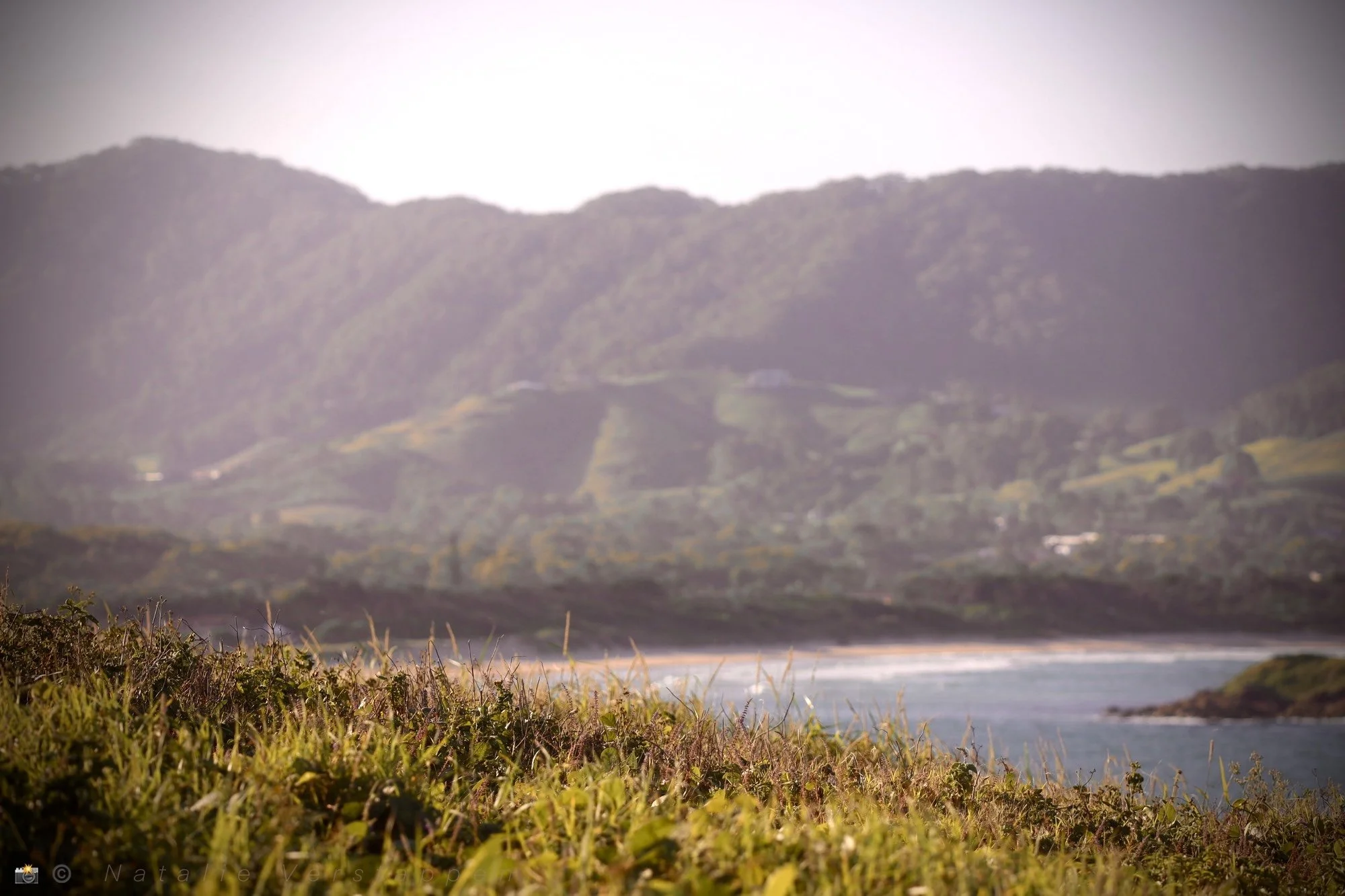 What is - What can become