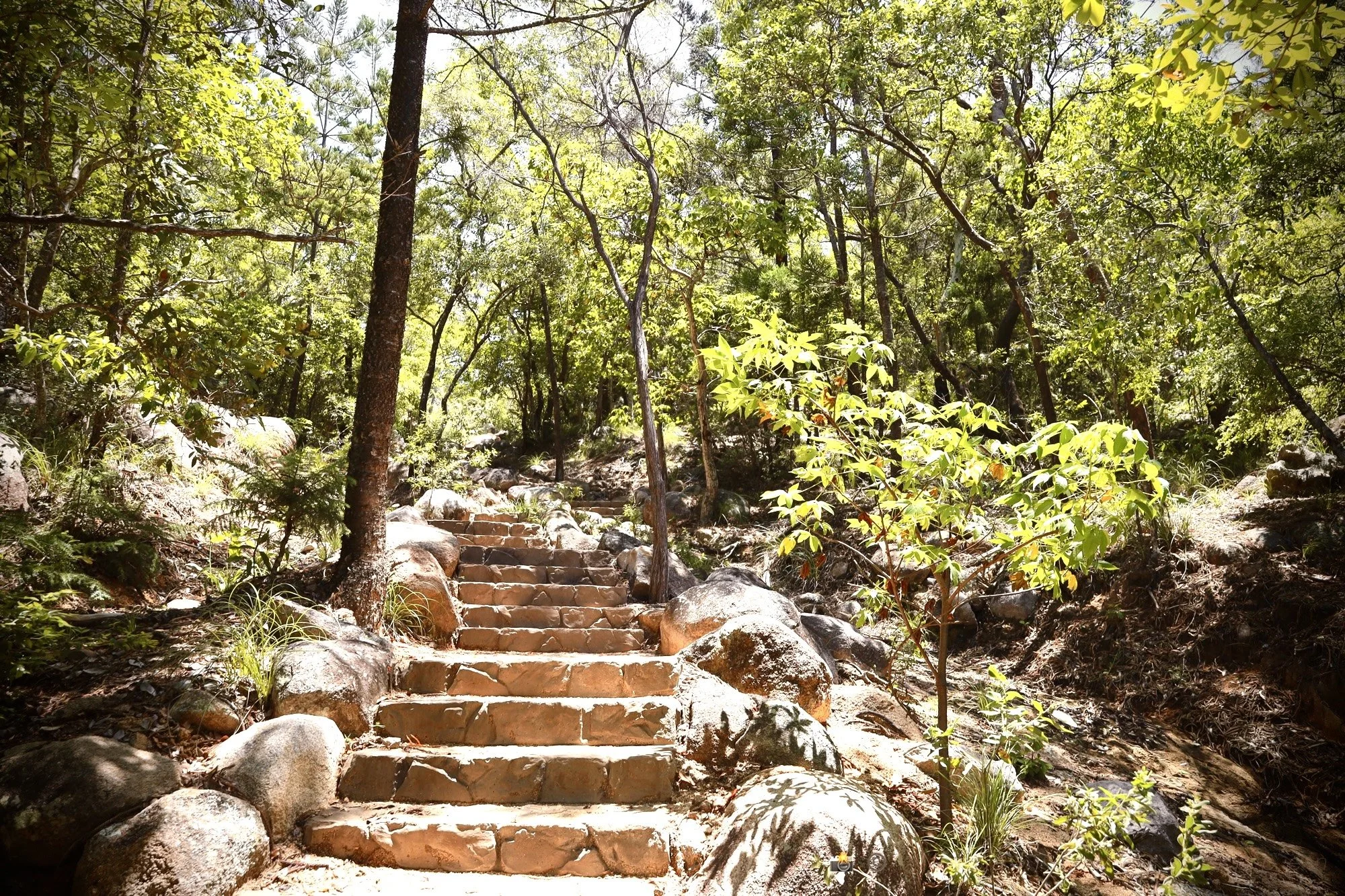 The Way Up - one step at a time