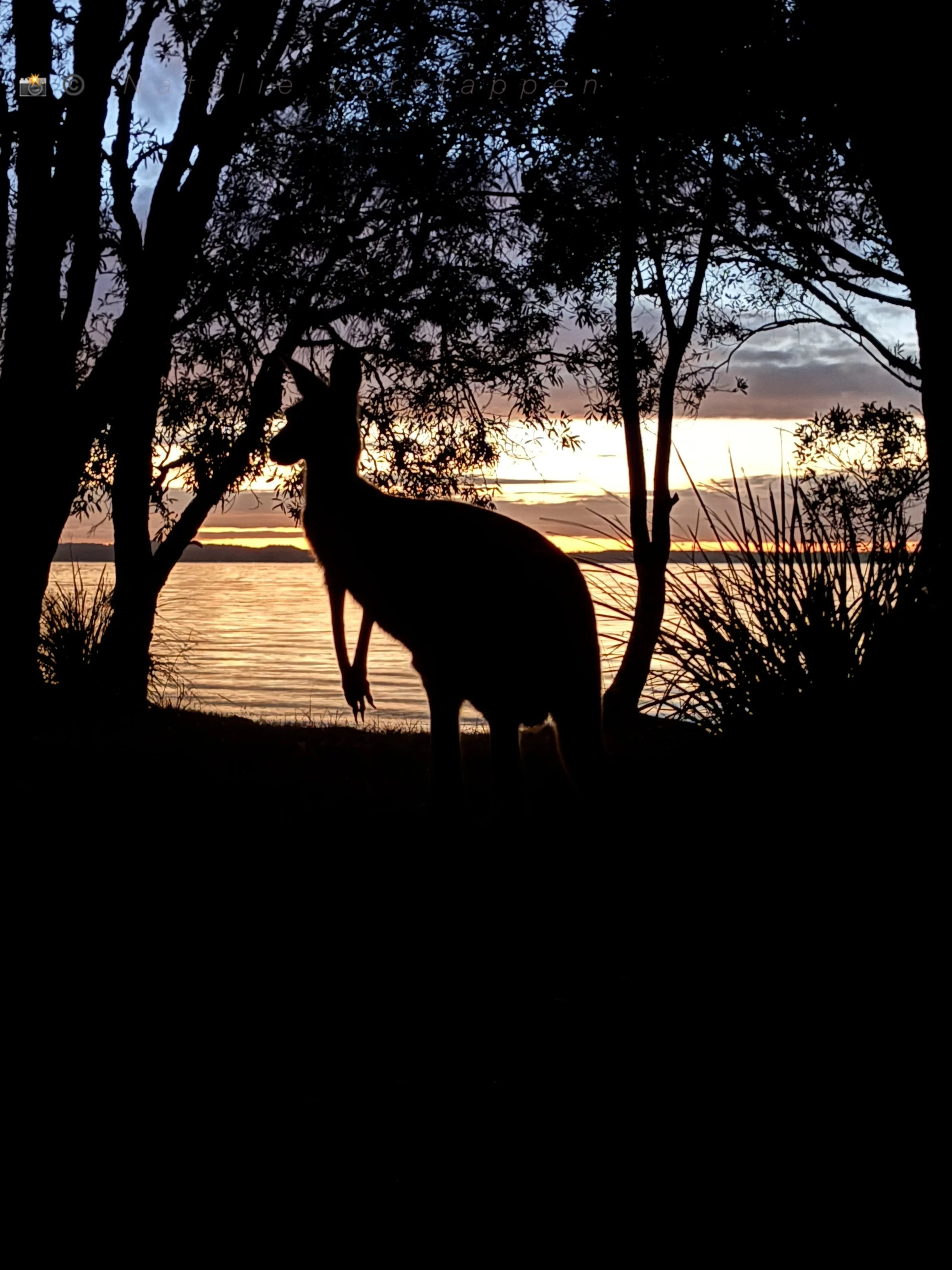 Never Alone - Connecting with the world