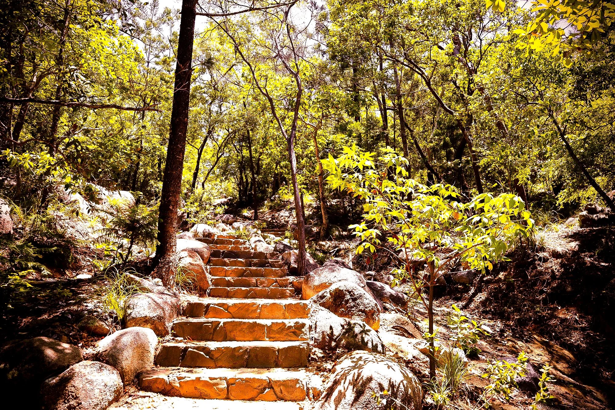 The Way Up - One step at a time