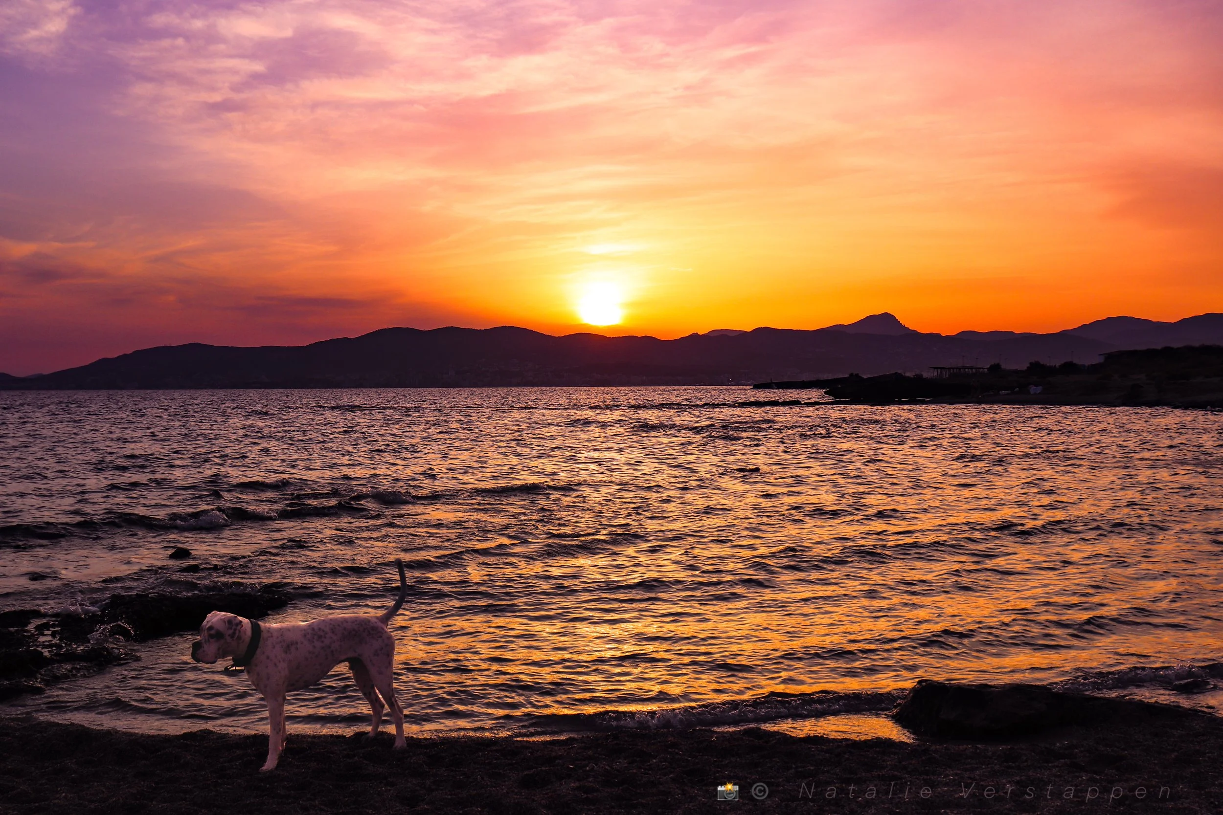 Dog beach covered in the colors of a Mediterranean Sunset