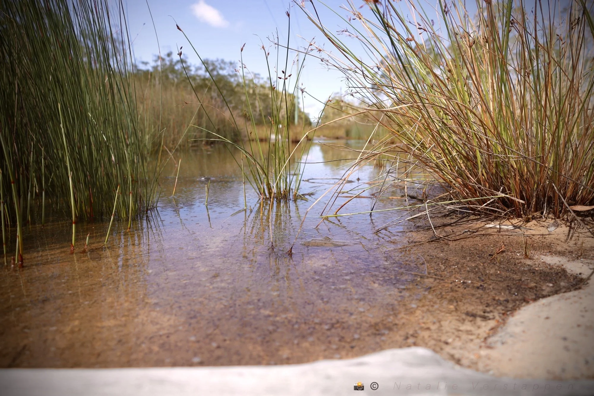 Small Steps - Direction unfolds