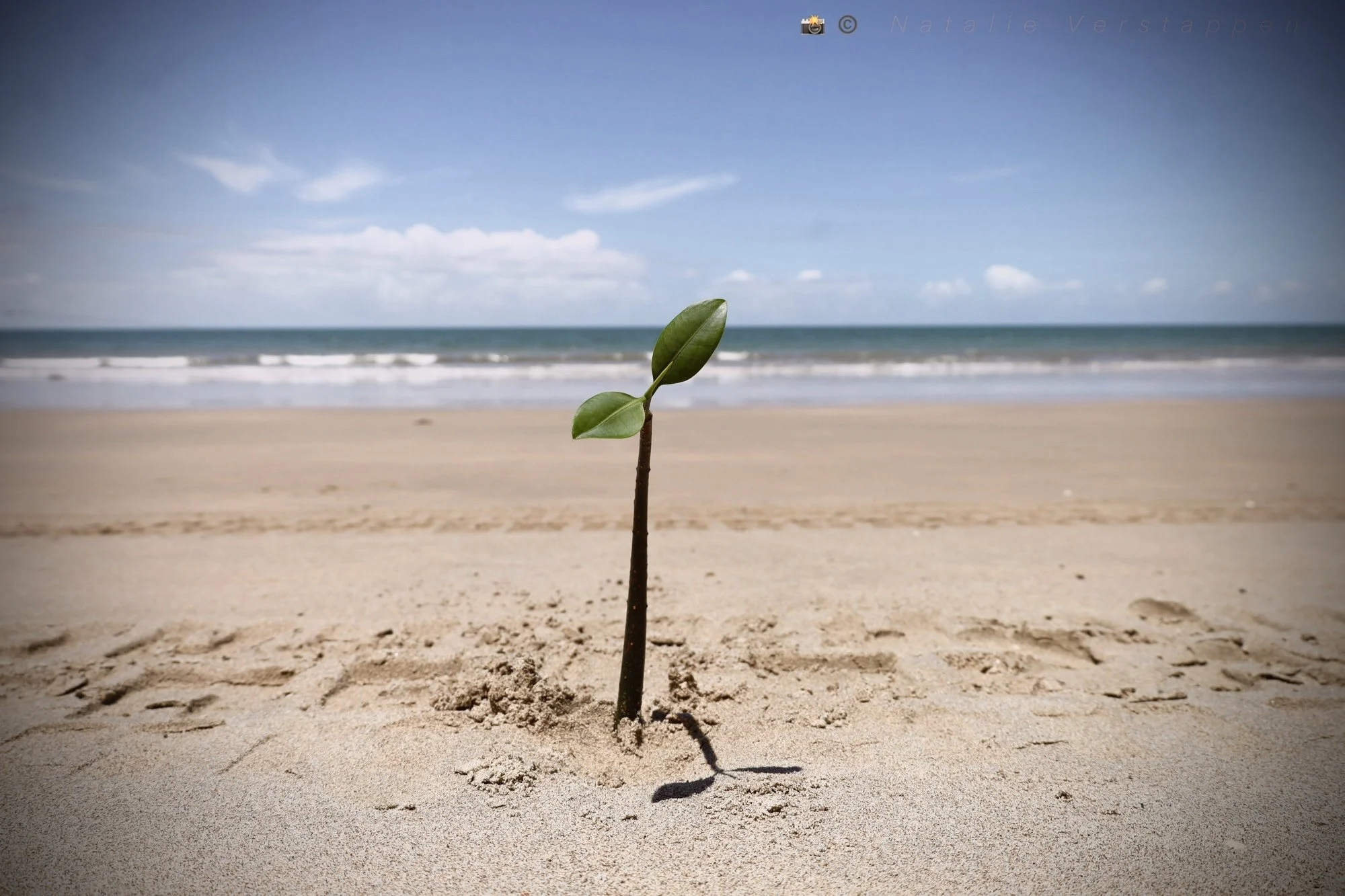 The Right Place - Is where you’re seen