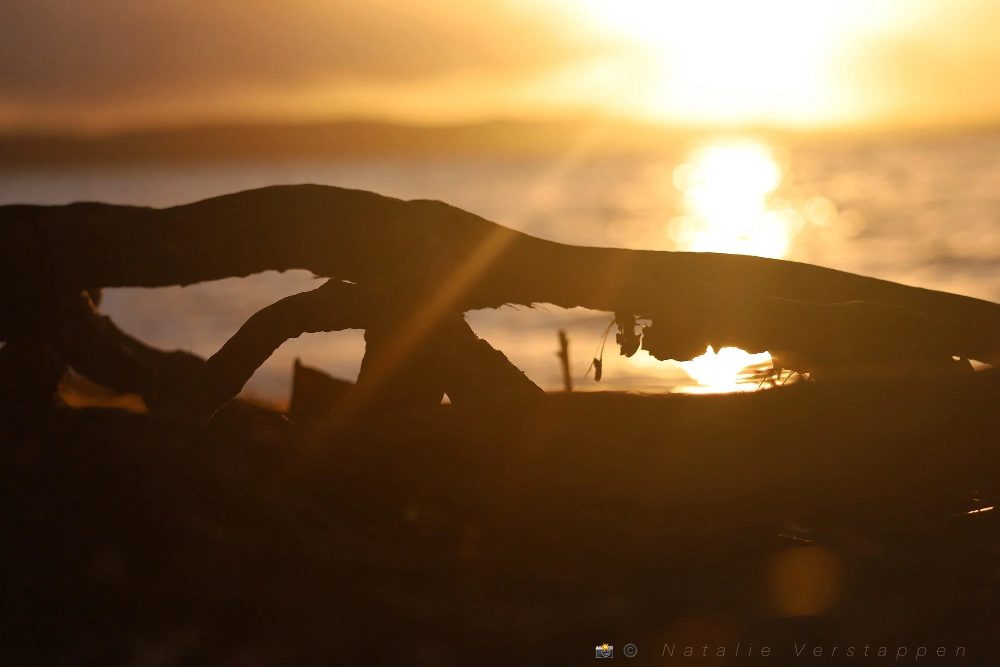 Gold Cracks The Gates - Anything is possible