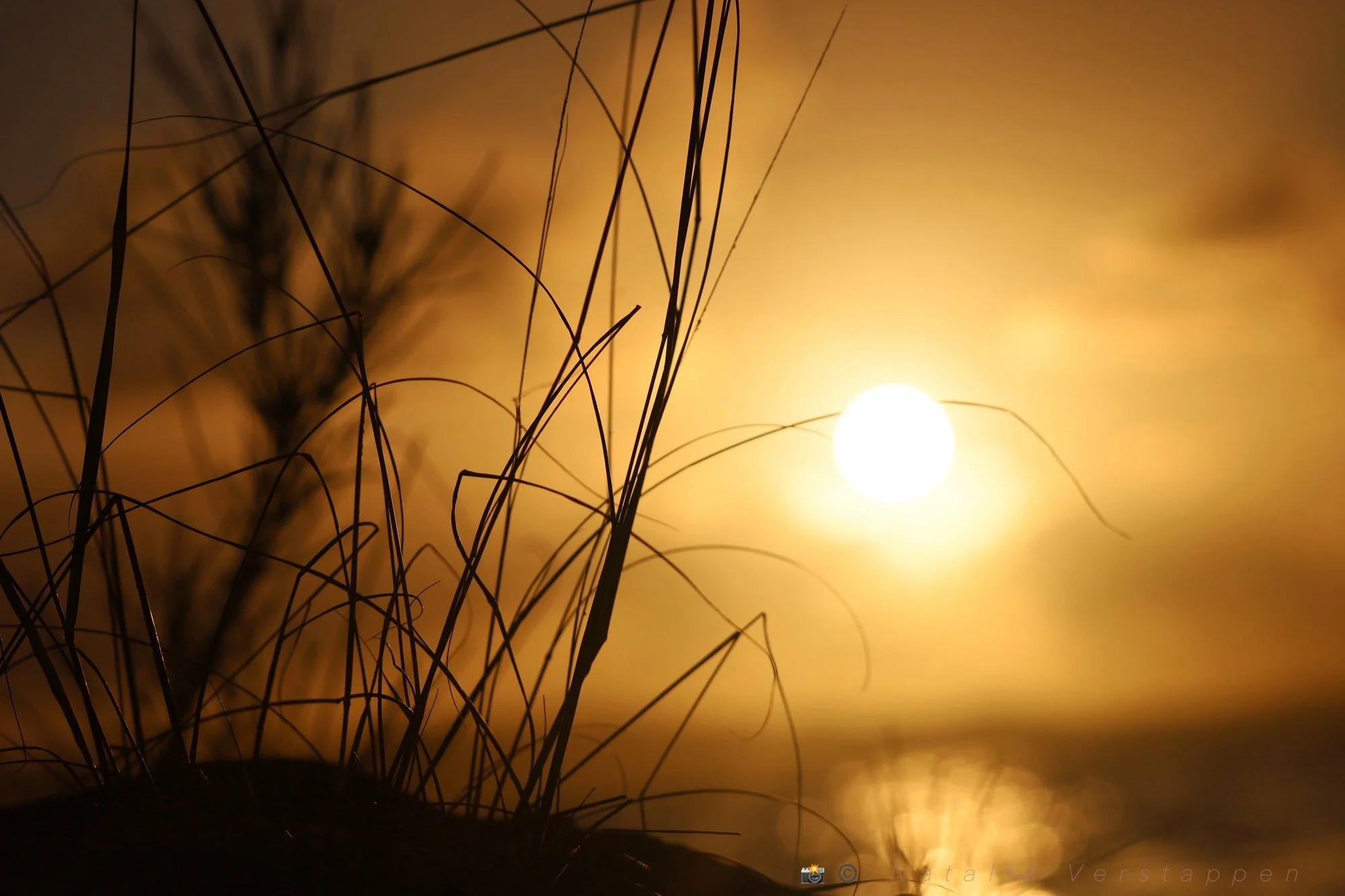 Gentle Whispers - Before anything else, a gentle whisper announces new light