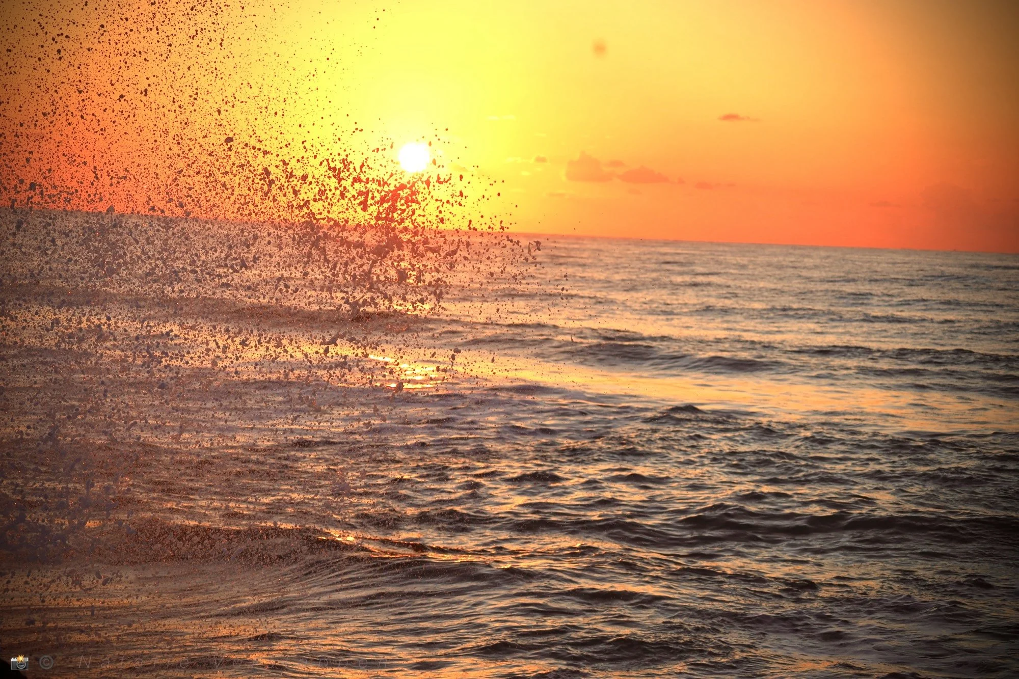 Colored by the horizon