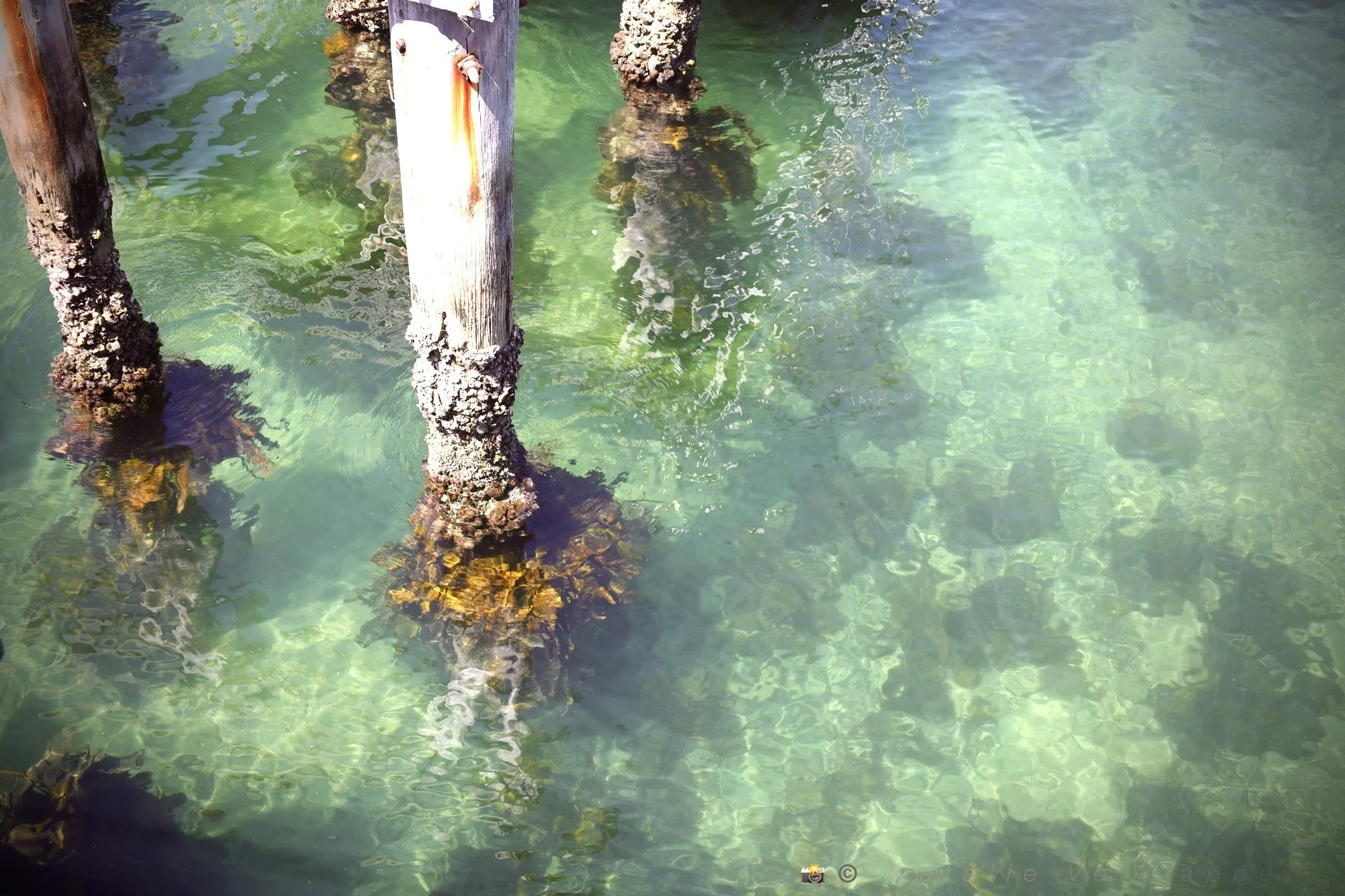 Emerge - From beneath the surface