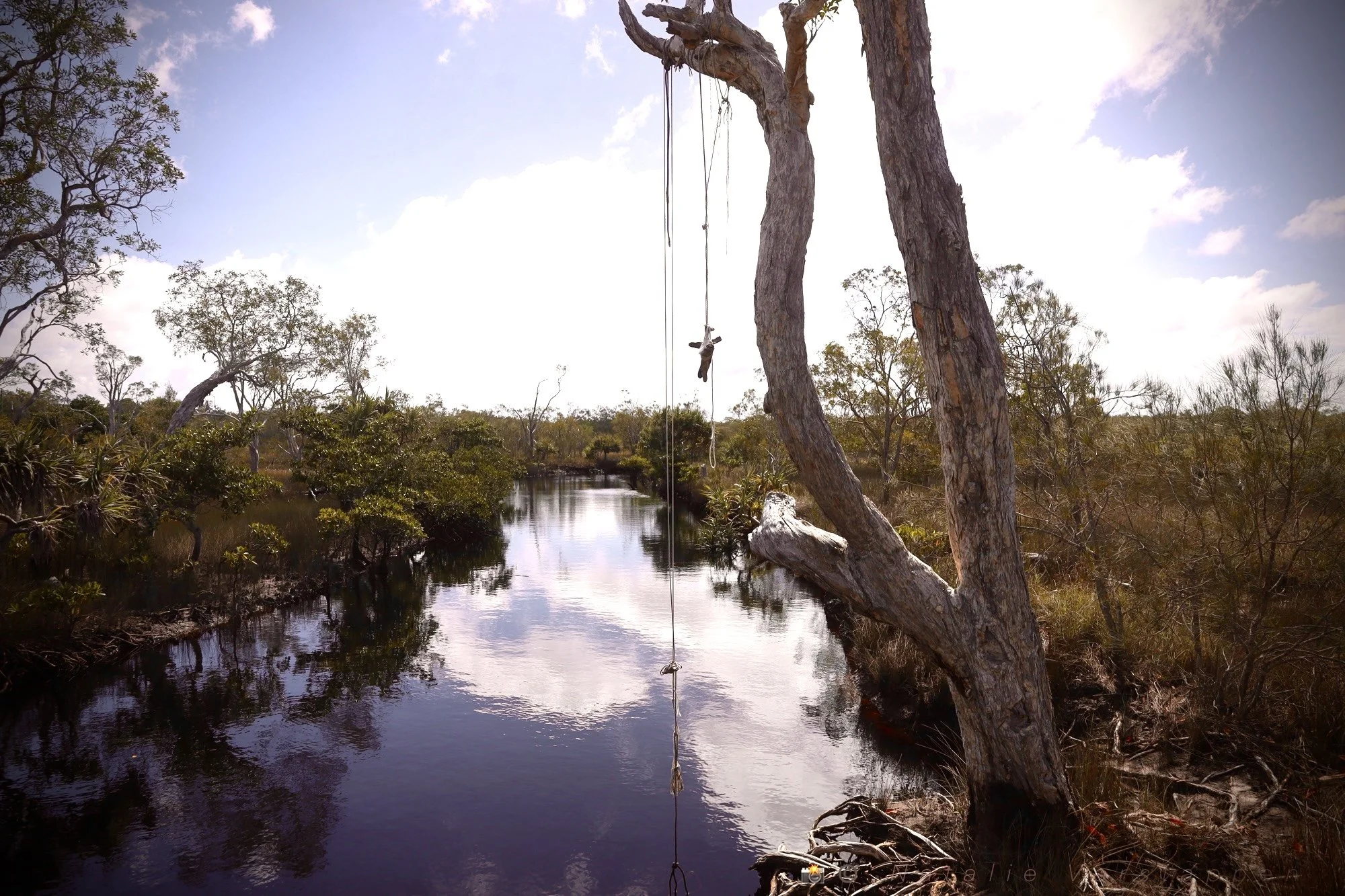 The Open Invite - To play or to stay