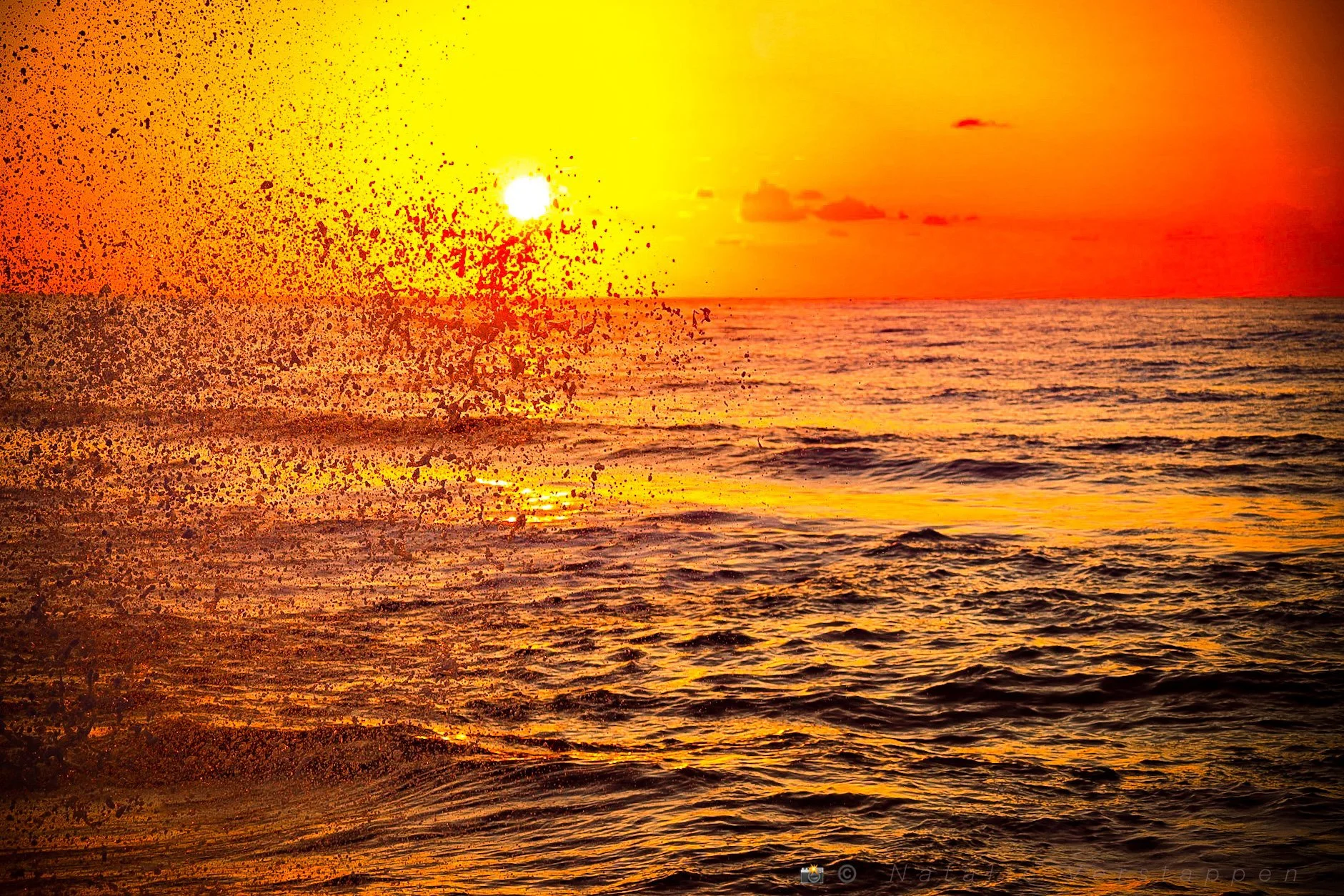 Golden sovereignty - Full circle