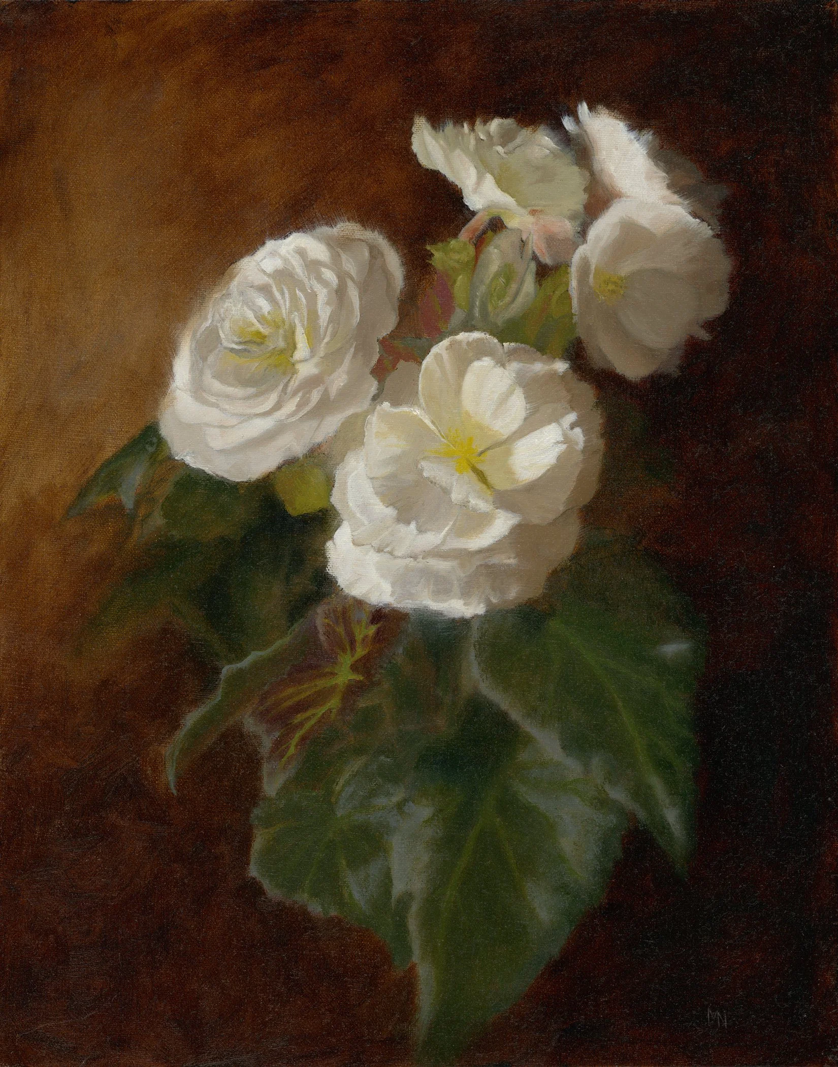 Begonia Large - 450
11'' x 14'' 
Framed
Oil on Panel