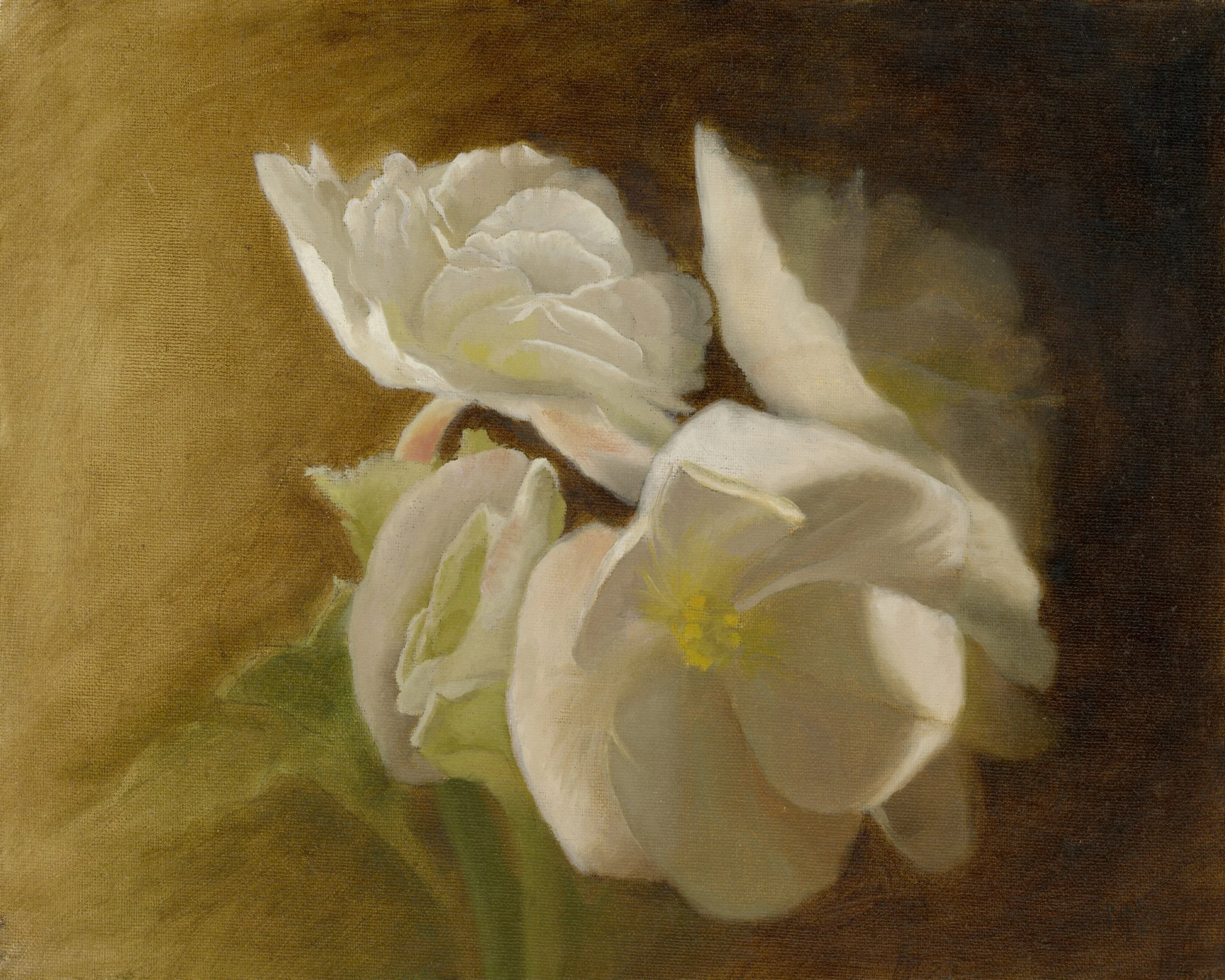 Begonia Small - 350
10'' x 8'' 
Framed
Oil on Panel