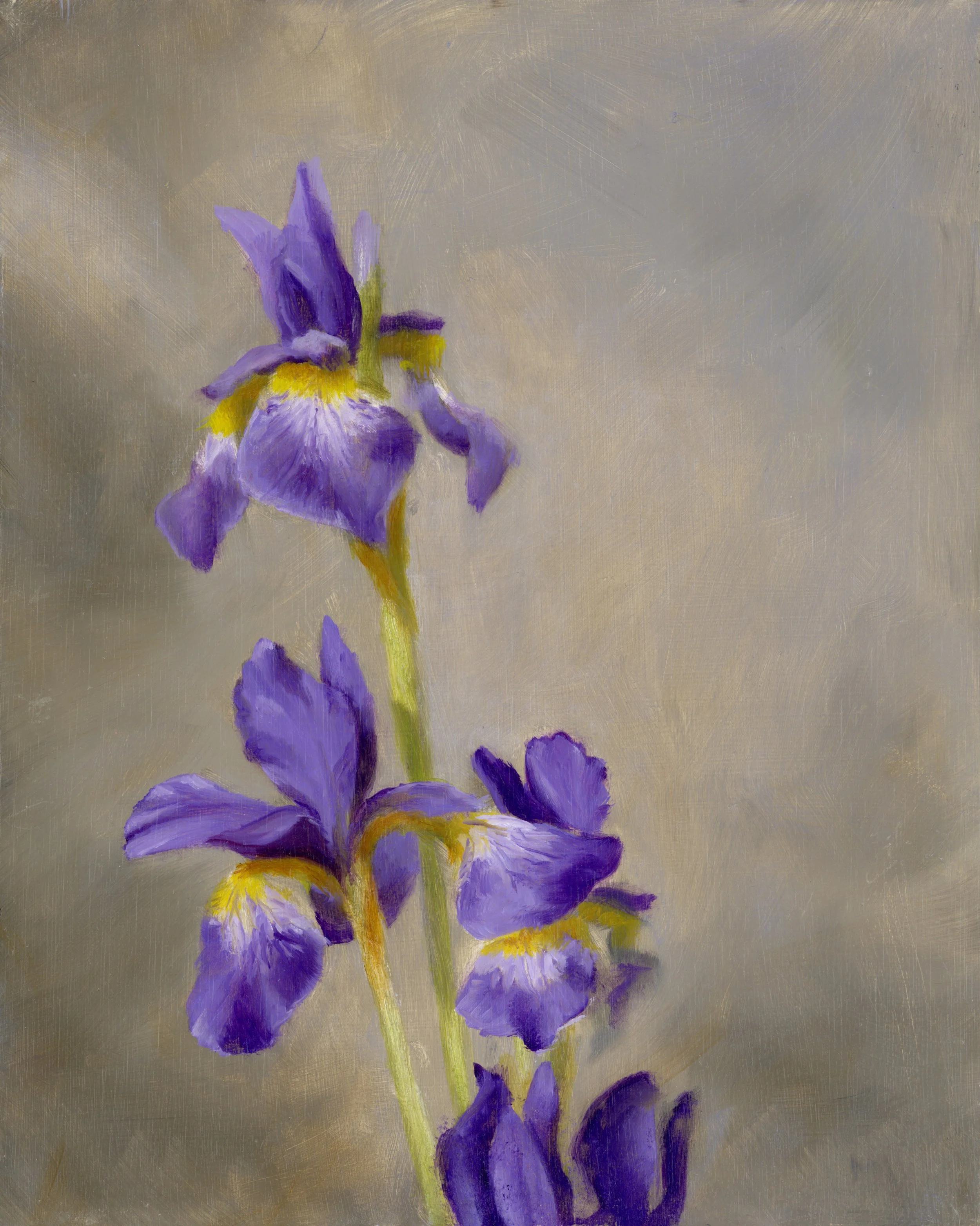 Iris Small - 350
8'' x 10'' 
Framed
Oil on Panel