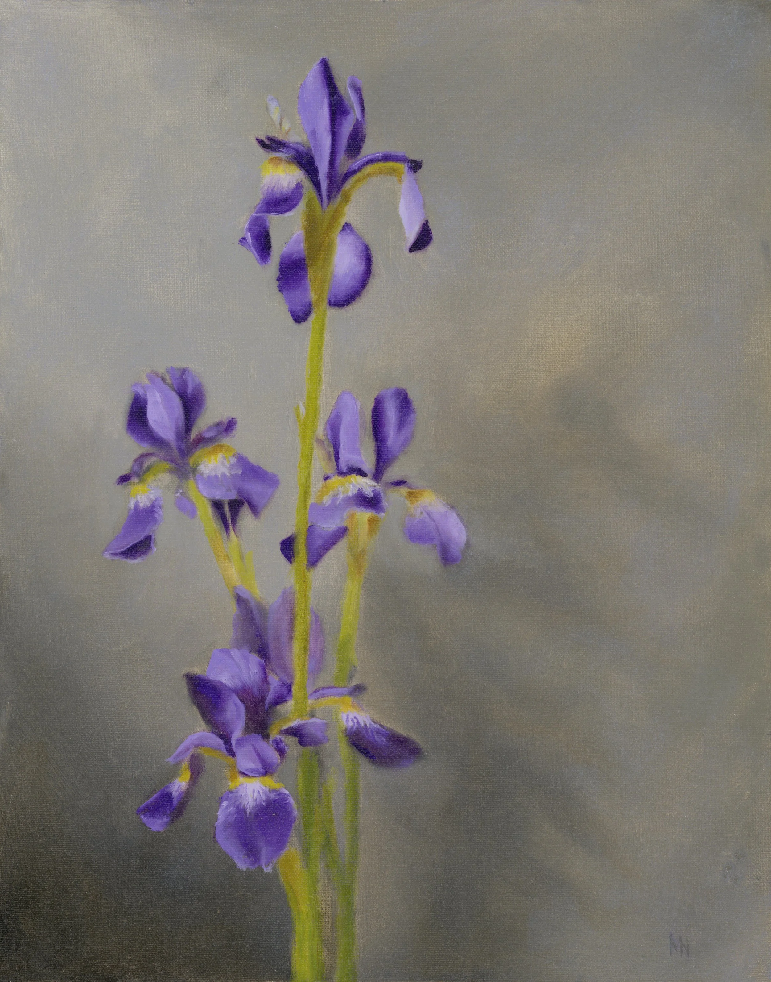 Iris Large - 450
11'' x 14'' 
Framed
Oil on Panel