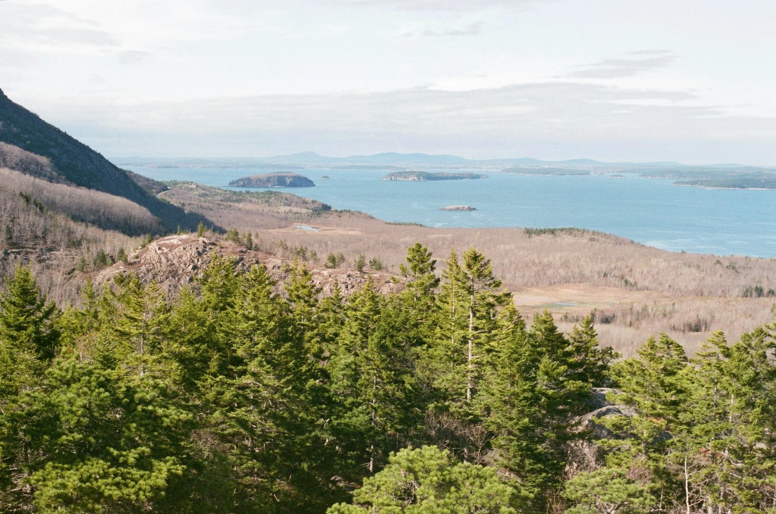 View of a vast body of water with several small islands and distant hills, framed by a forest of green trees in the foreground and a mountain slope on the left.