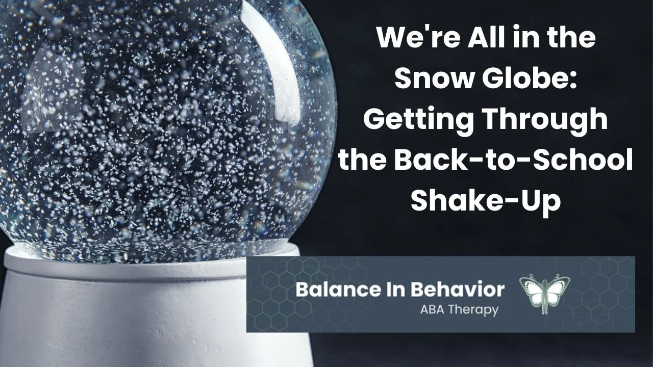 We're All in the Snow Globe: Getting Through the Back-to-School Shake-Up