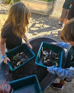 The Healdsburg School — Arts