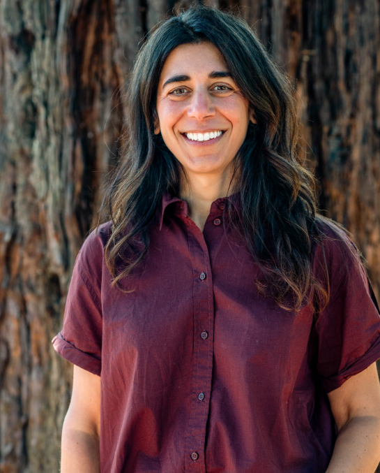 Tracie Mastronicola, Head of School