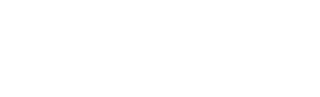 Logo+2+linjer,+farge+(1).png