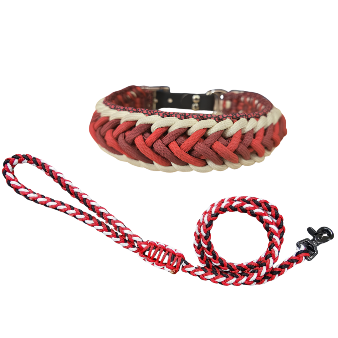Collar and Leash Workshop