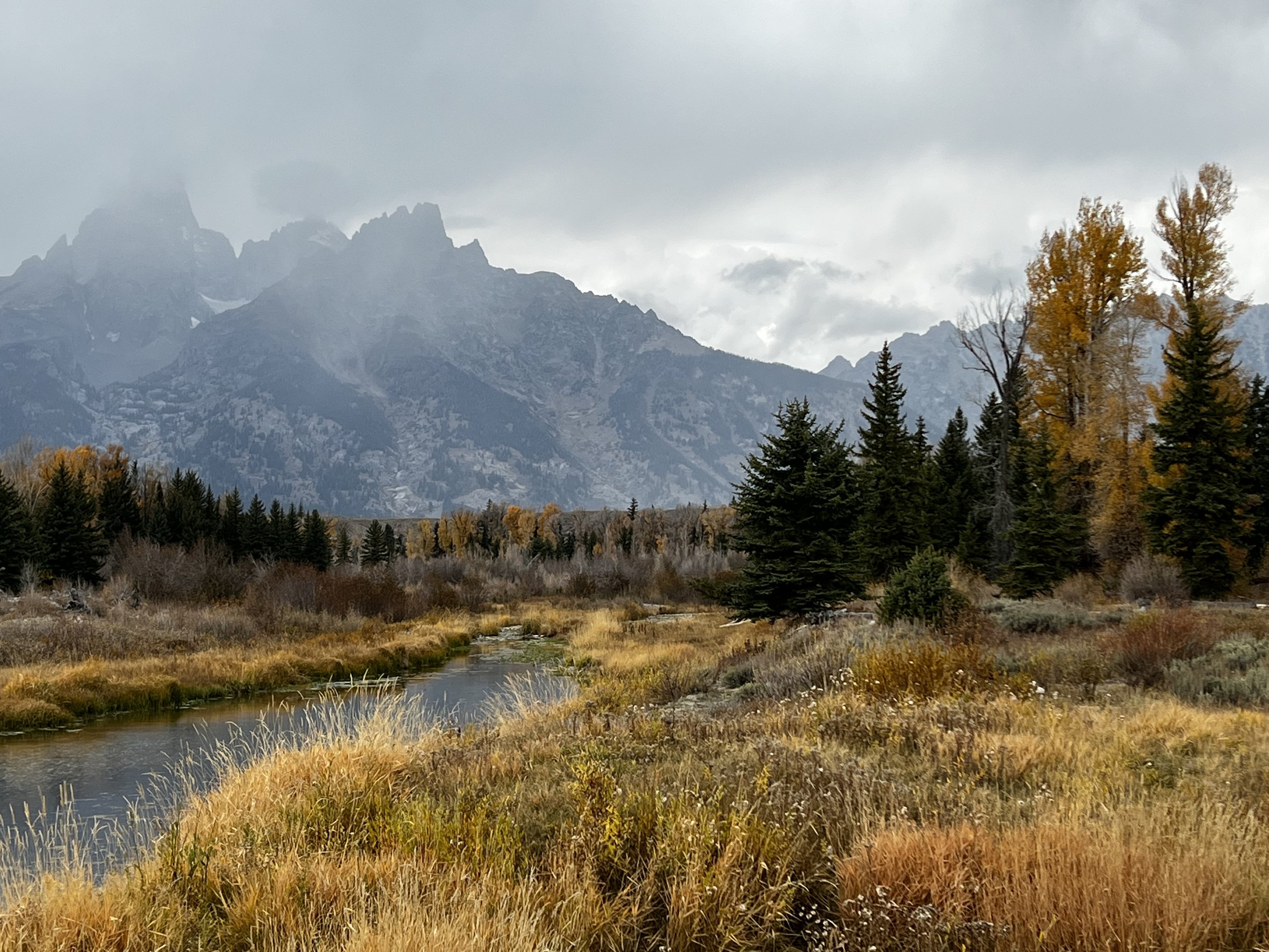 A serene, cloudy mountain landscape with a river, trees, and fall foliage in the foreground.