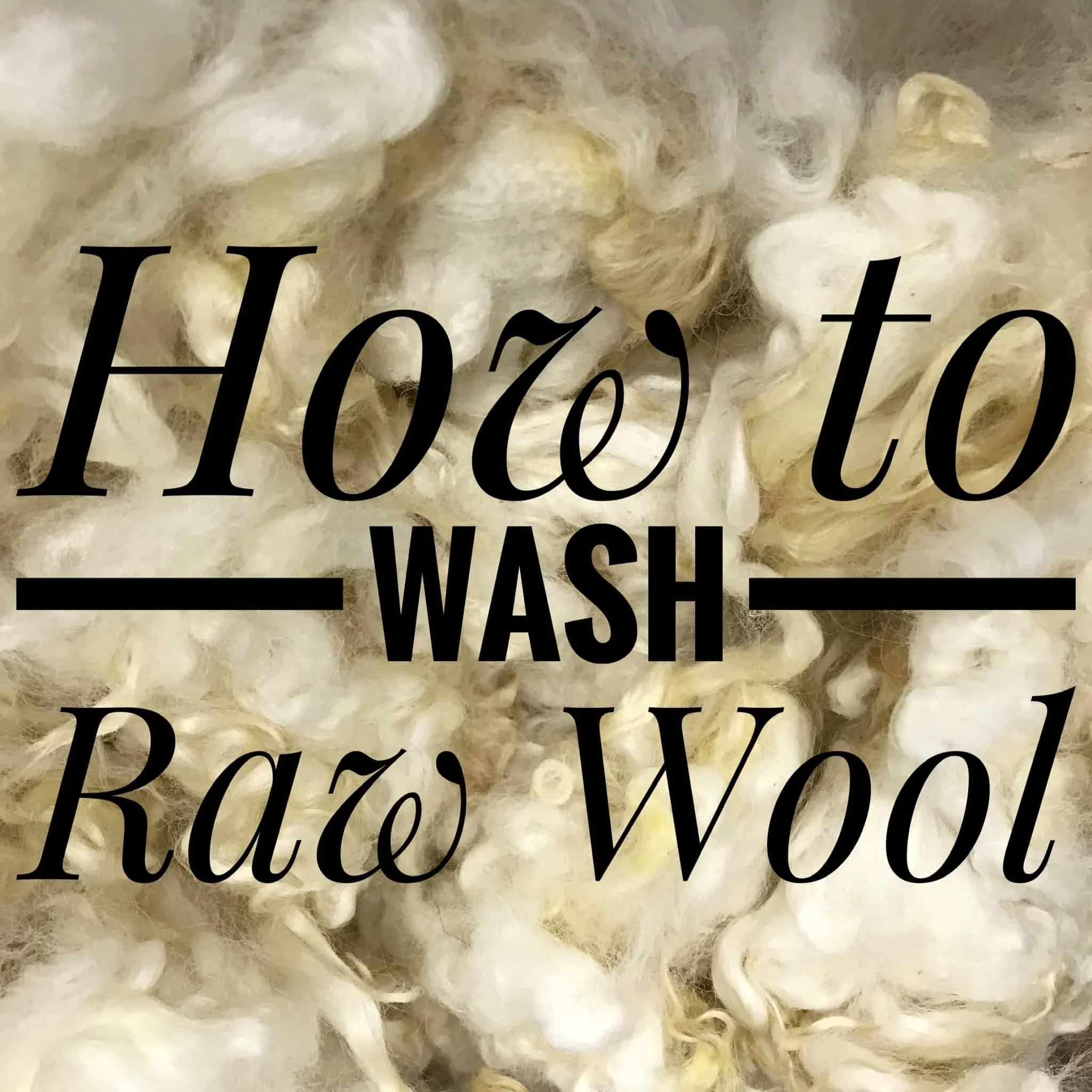 Cleaning Raw Wool | Everything Wool Series | Hosted by Folk School Warroad