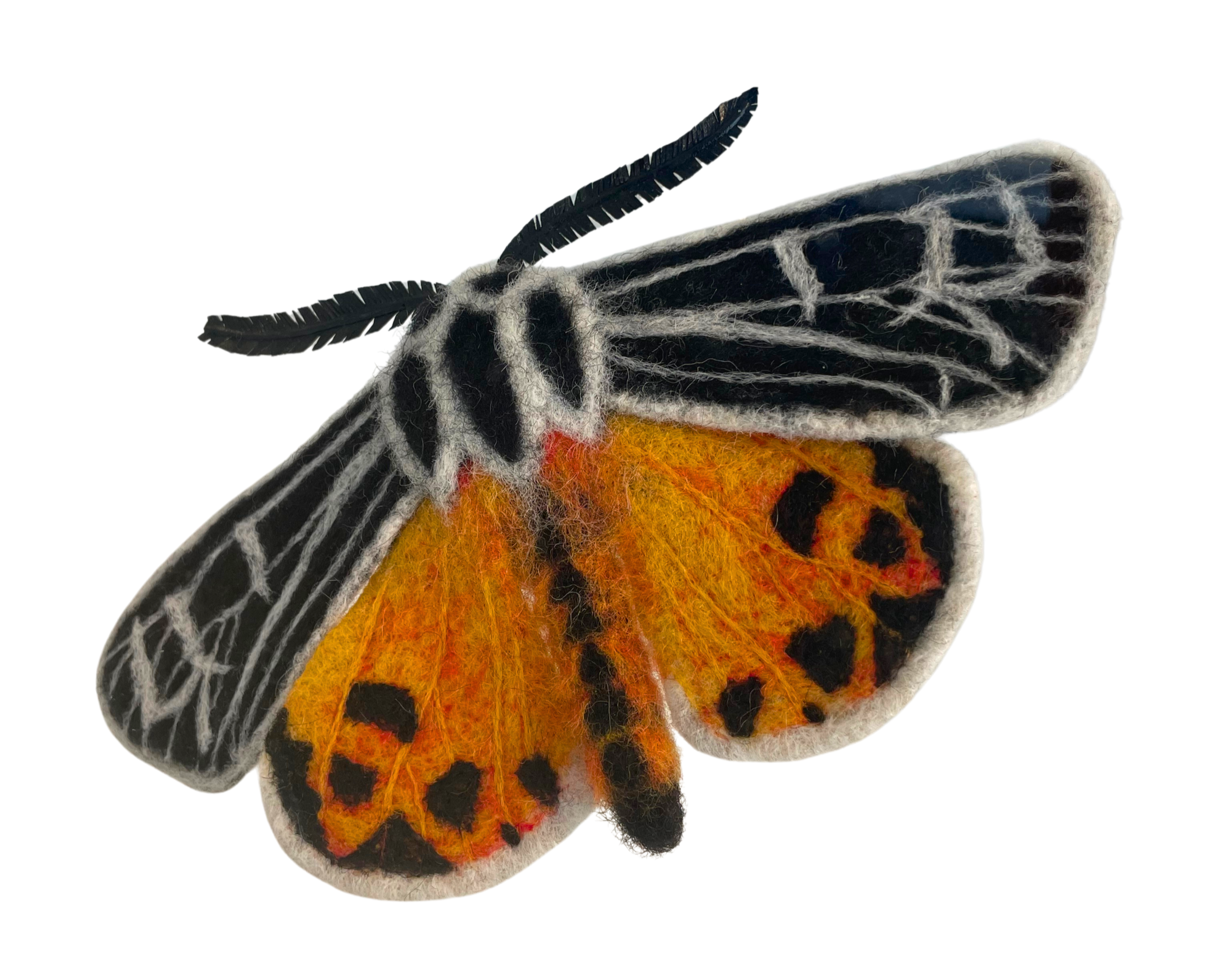 a wool-felted tiger moth