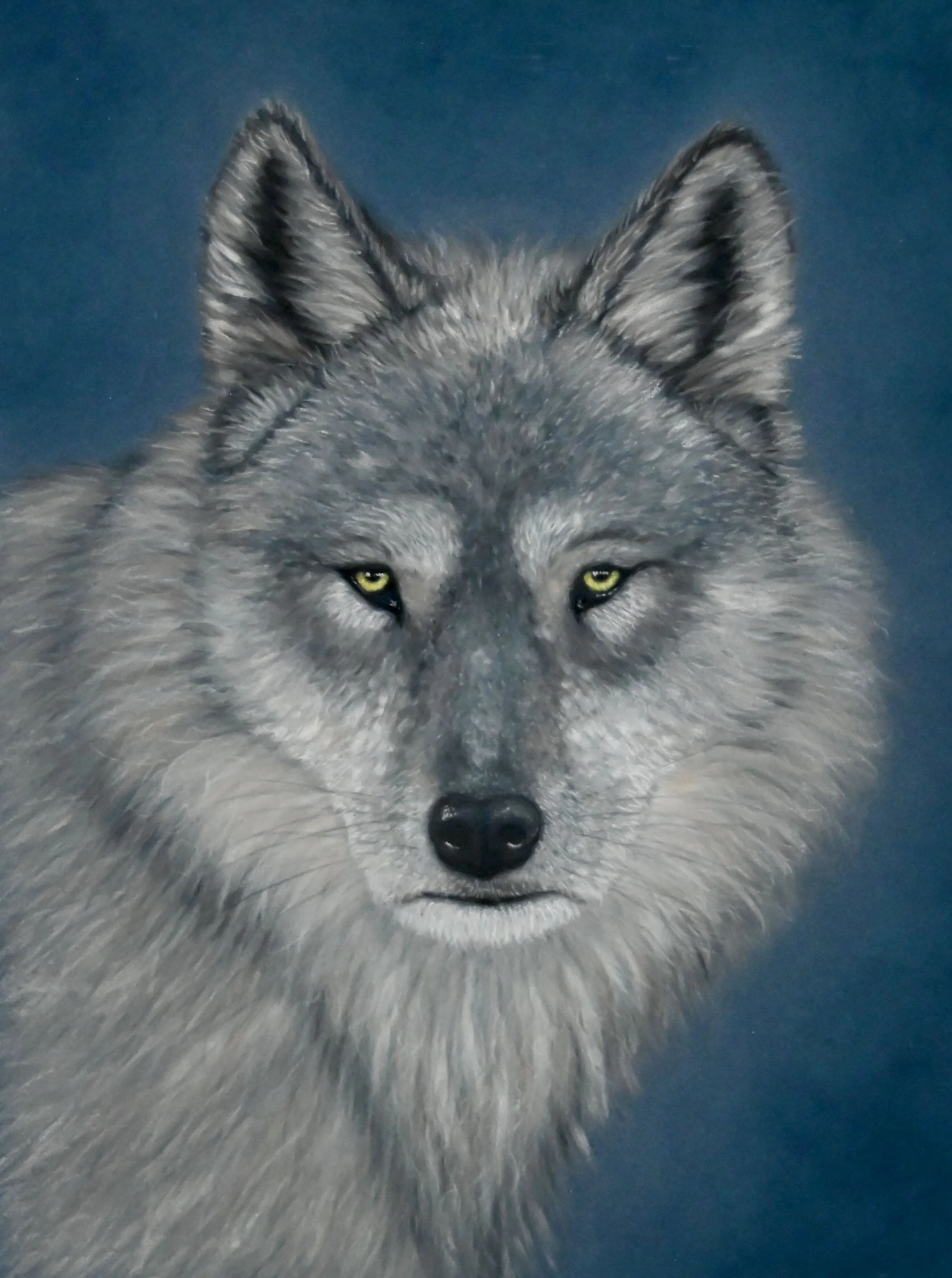 "Silent Sentinel" by Cindy Godin Hamilton