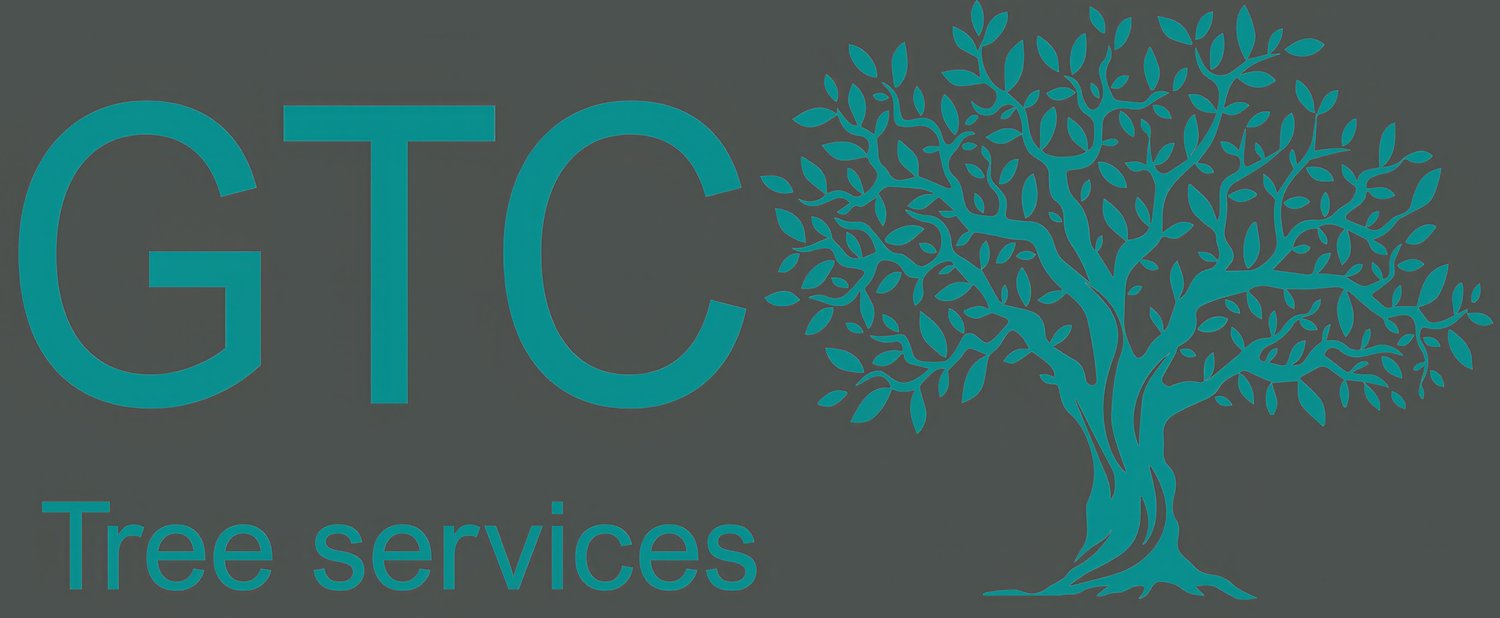 GTC Tree Services