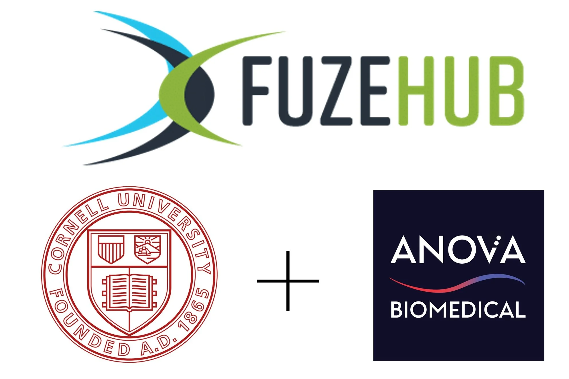 FuzeHub Grant Icon.jpg