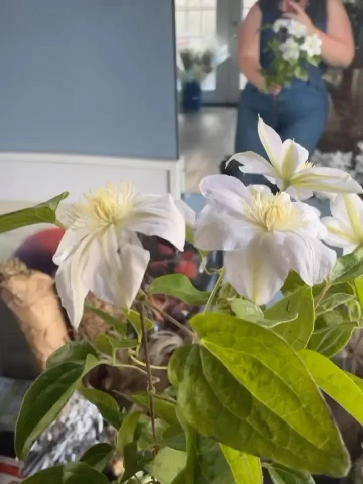 Reminiscing on the days of working alongside @mtnlaurel_floral while living my fullest early 20 somethings life in Austin TX. Just one little tattoo on the back of my arm those days. I was continually so amazed that something so beautiful could be cr