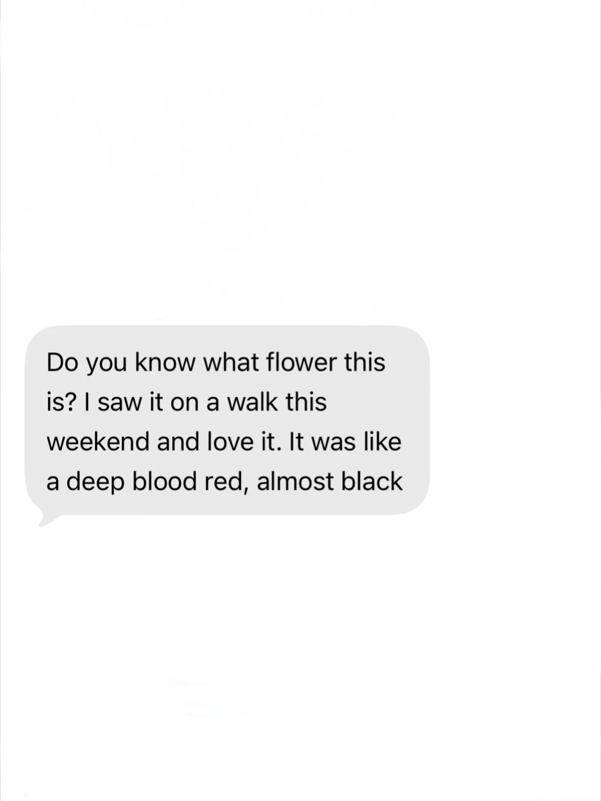 texts that your floral friend gets (&amp; loves!!!)