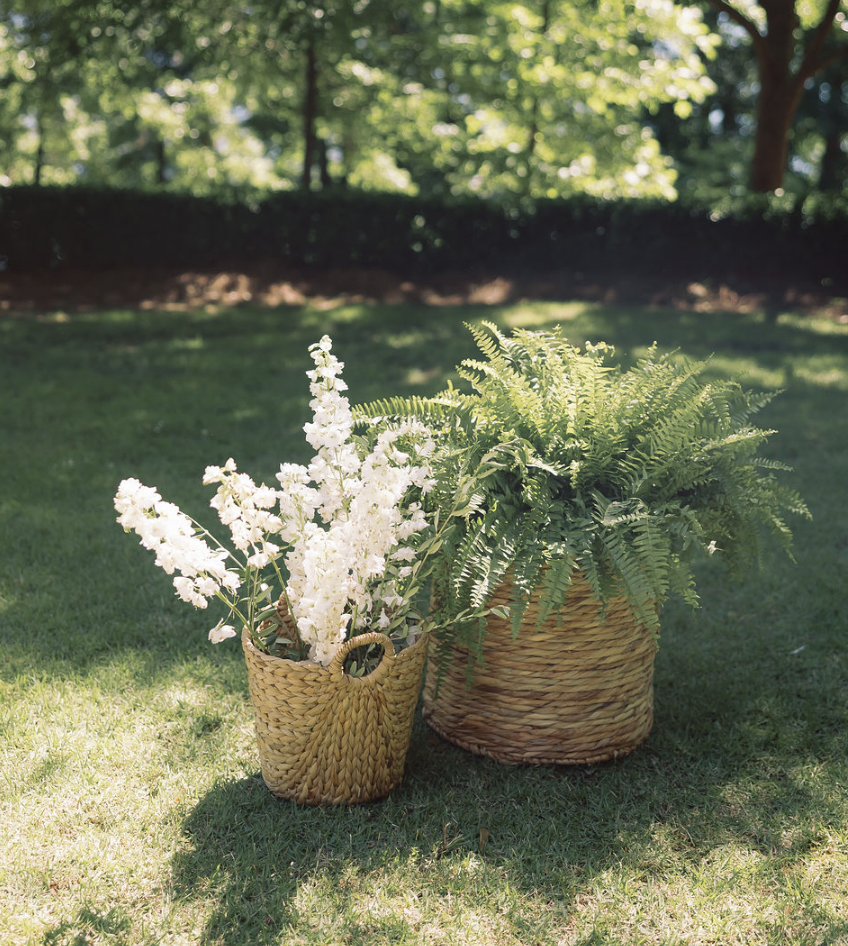 Screen Shot 2024-09-26 at 3.10.53 PM.png